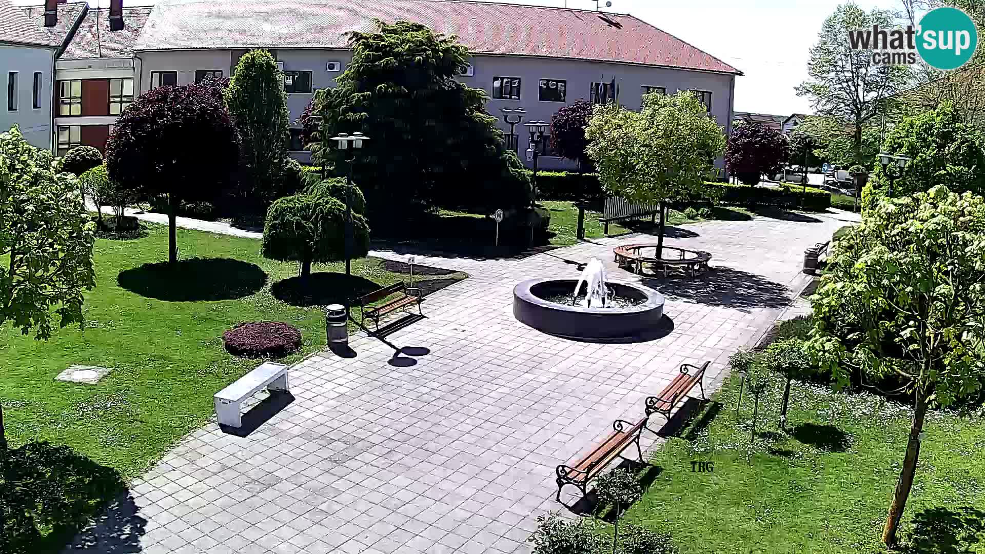 Čazma – Trg Čazmanskog Kaptola