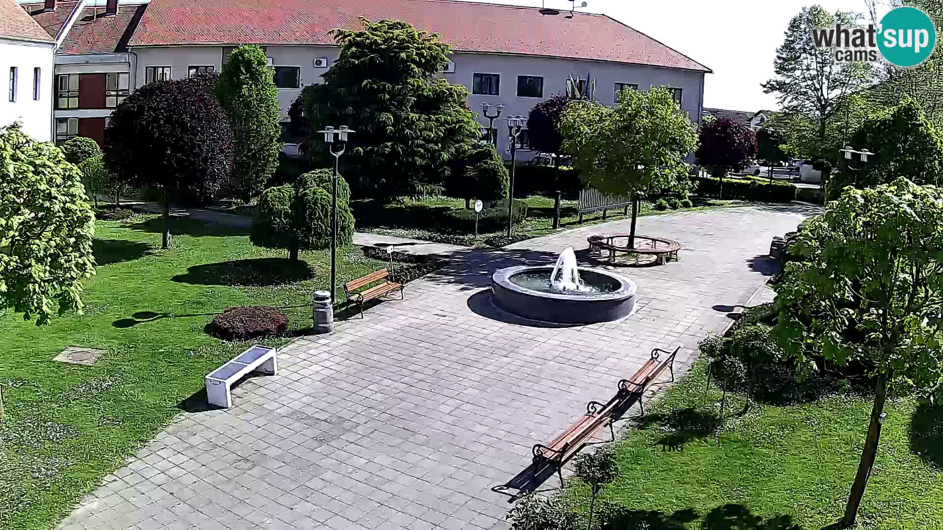 Čazma – Plaza Čazmanskog Kaptola