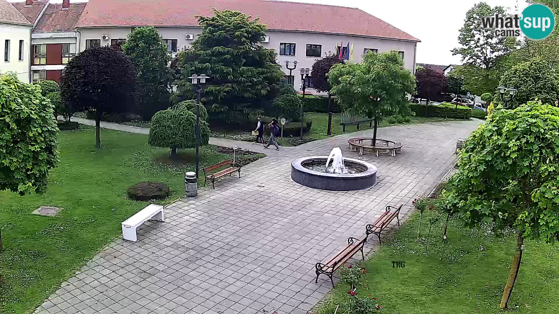 Čazma – Čazmanskog Kaptola square
