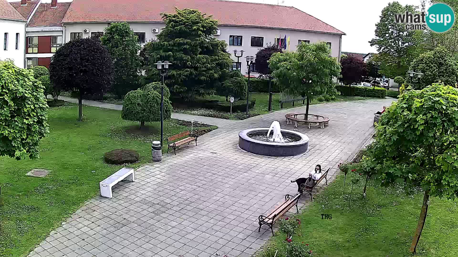 Čazma – Plaza Čazmanskog Kaptola