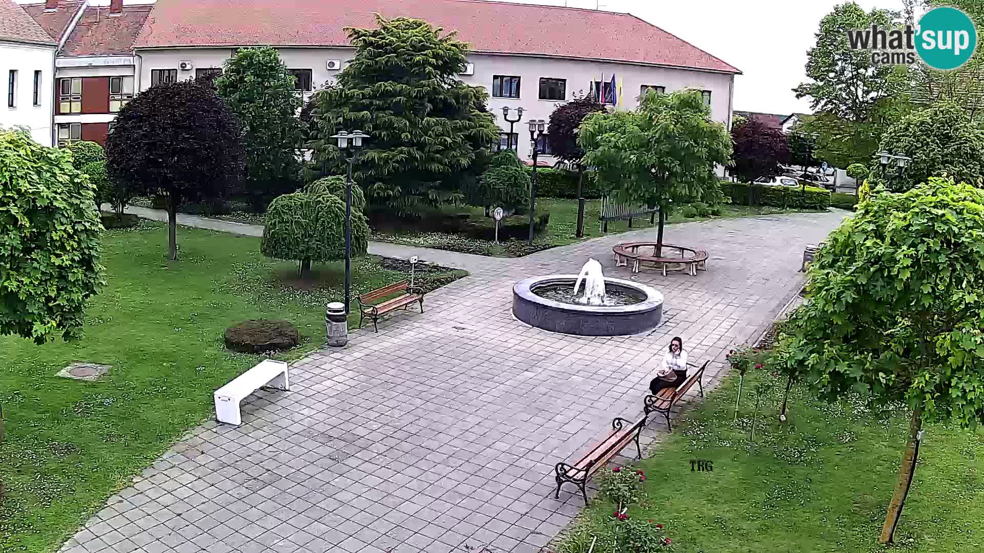 Čazma – Piazza Čazmanskog Kaptola