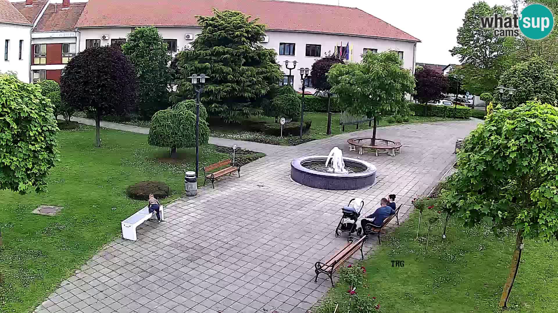 Čazma – Plaza Čazmanskog Kaptola