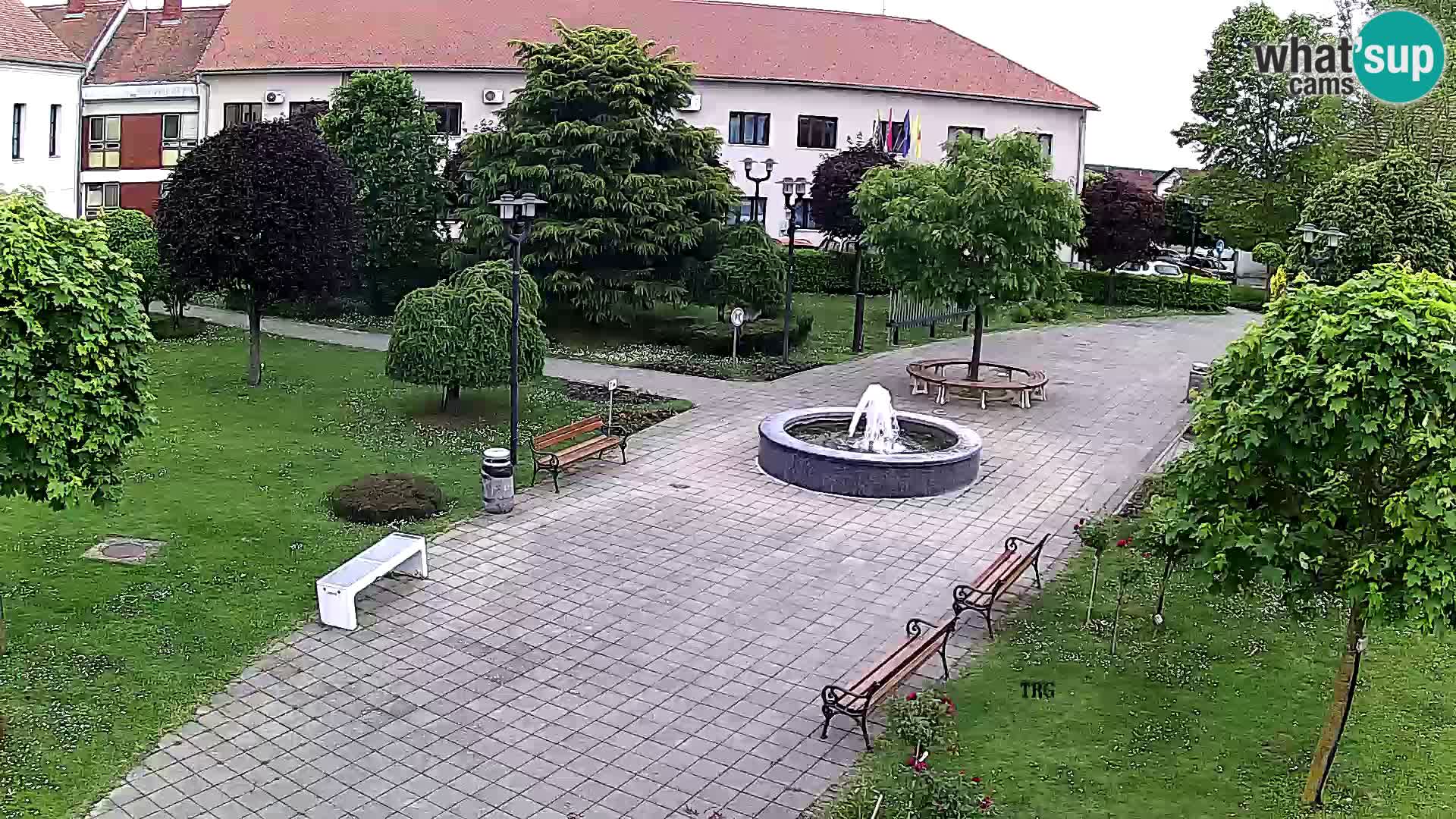 Čazma – Piazza Čazmanskog Kaptola