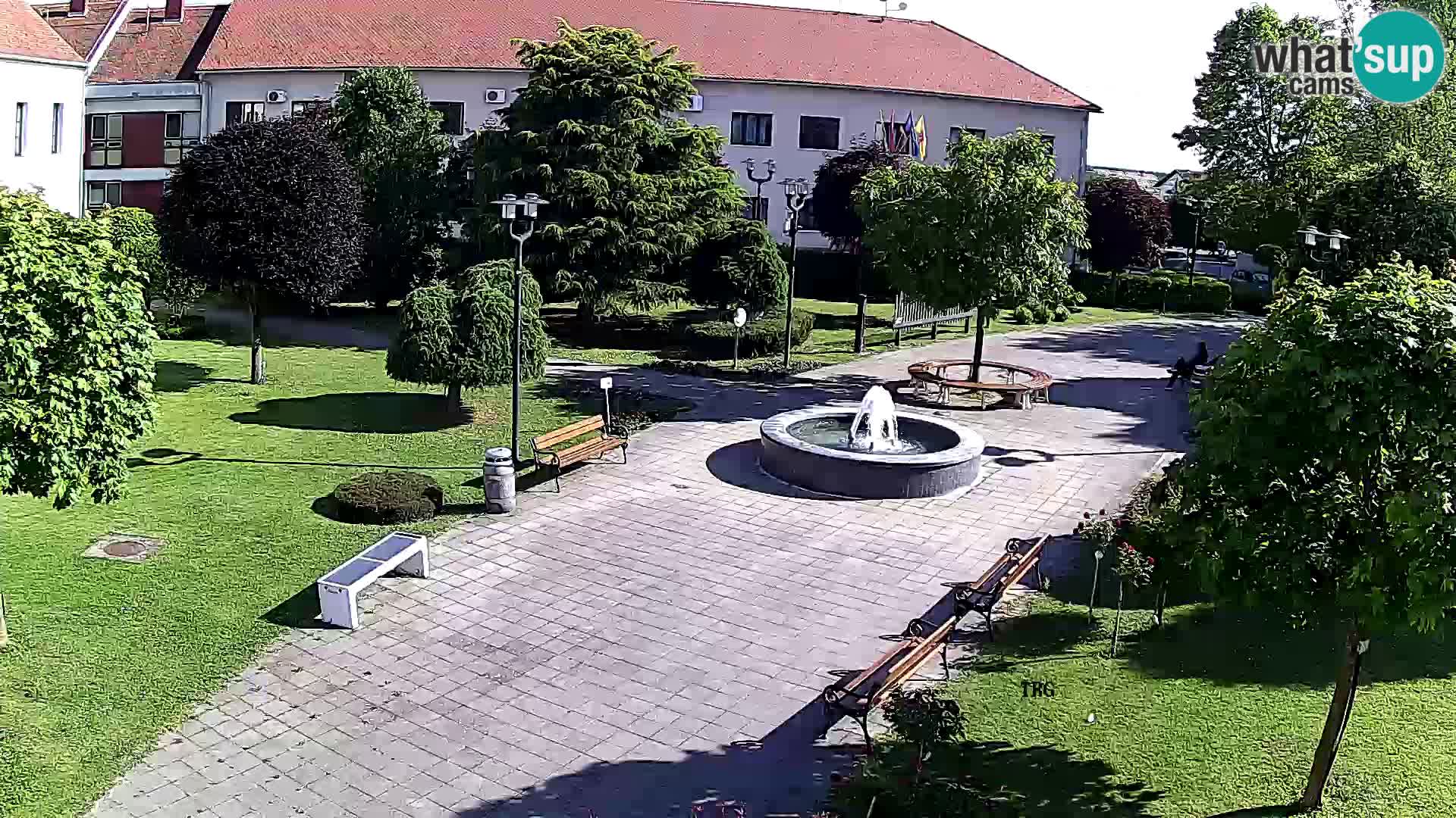 Čazma – Trg Čazmanskog Kaptola