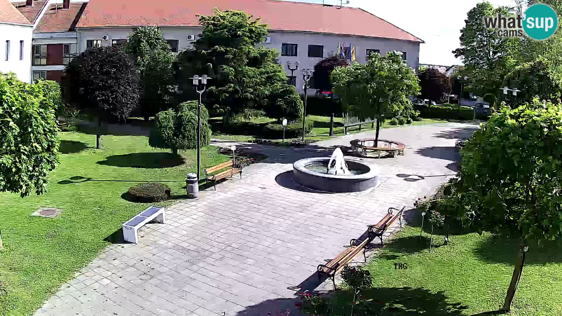 Čazma – Plaza Čazmanskog Kaptola