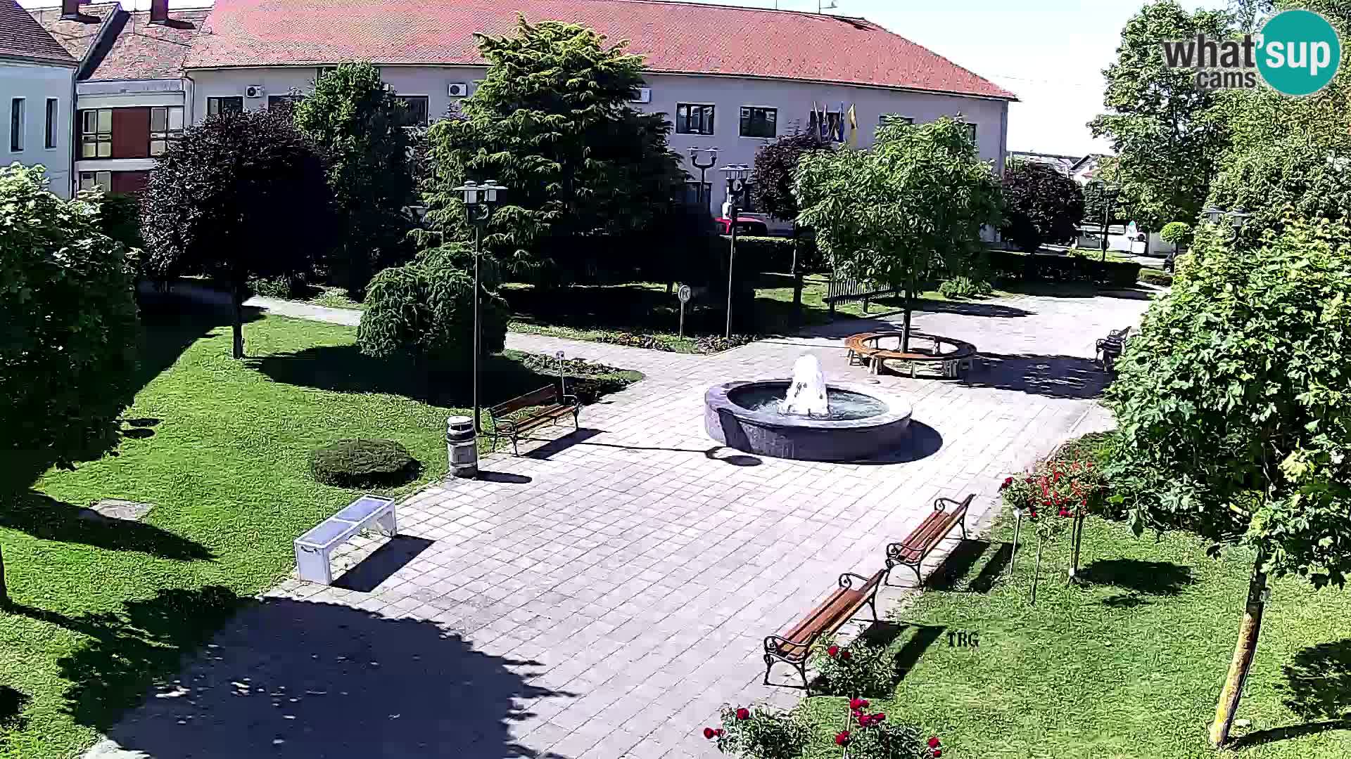 Čazma – Čazmanskog Kaptola Platz