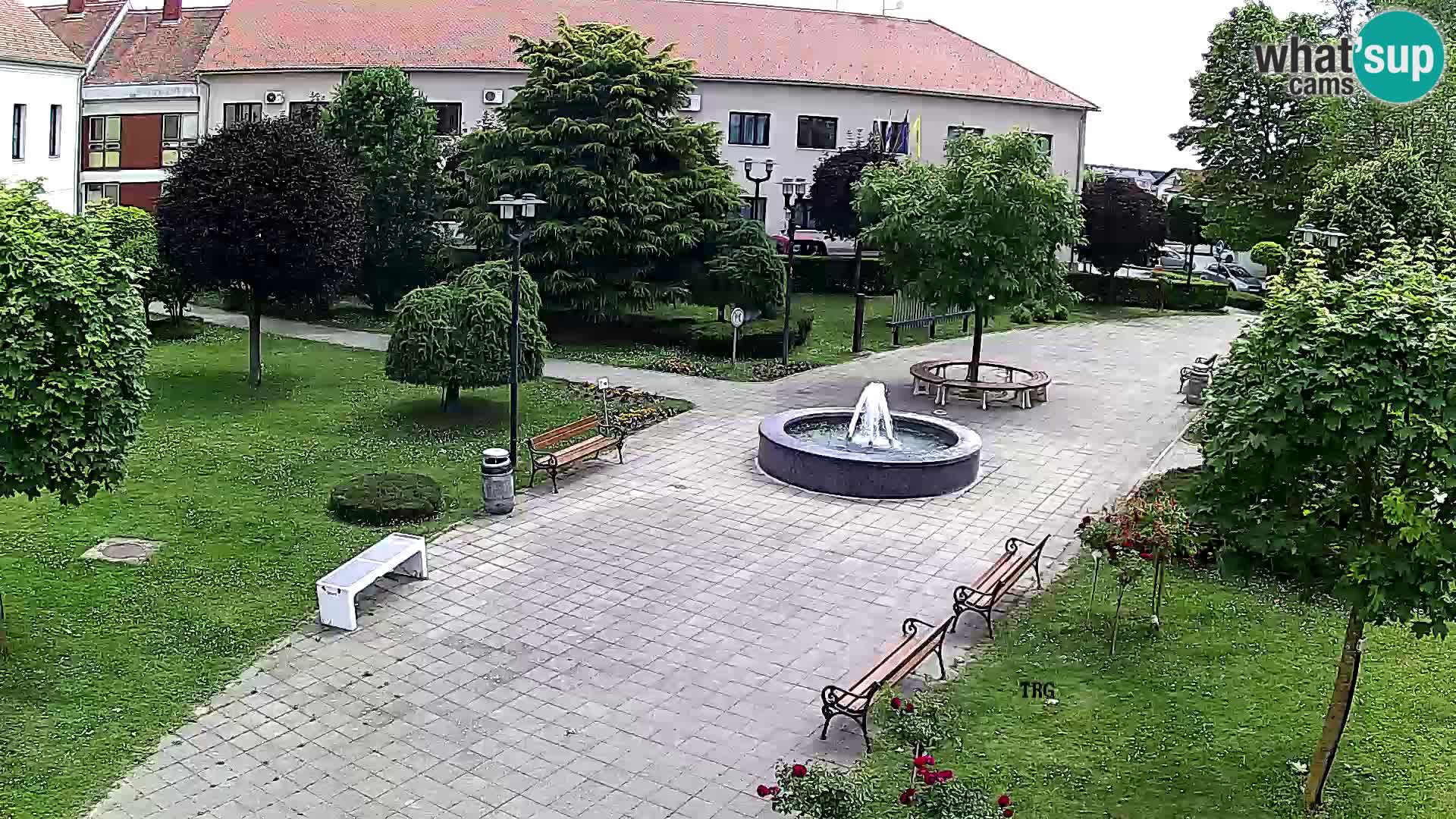 Čazma – Čazmanskog Kaptola square