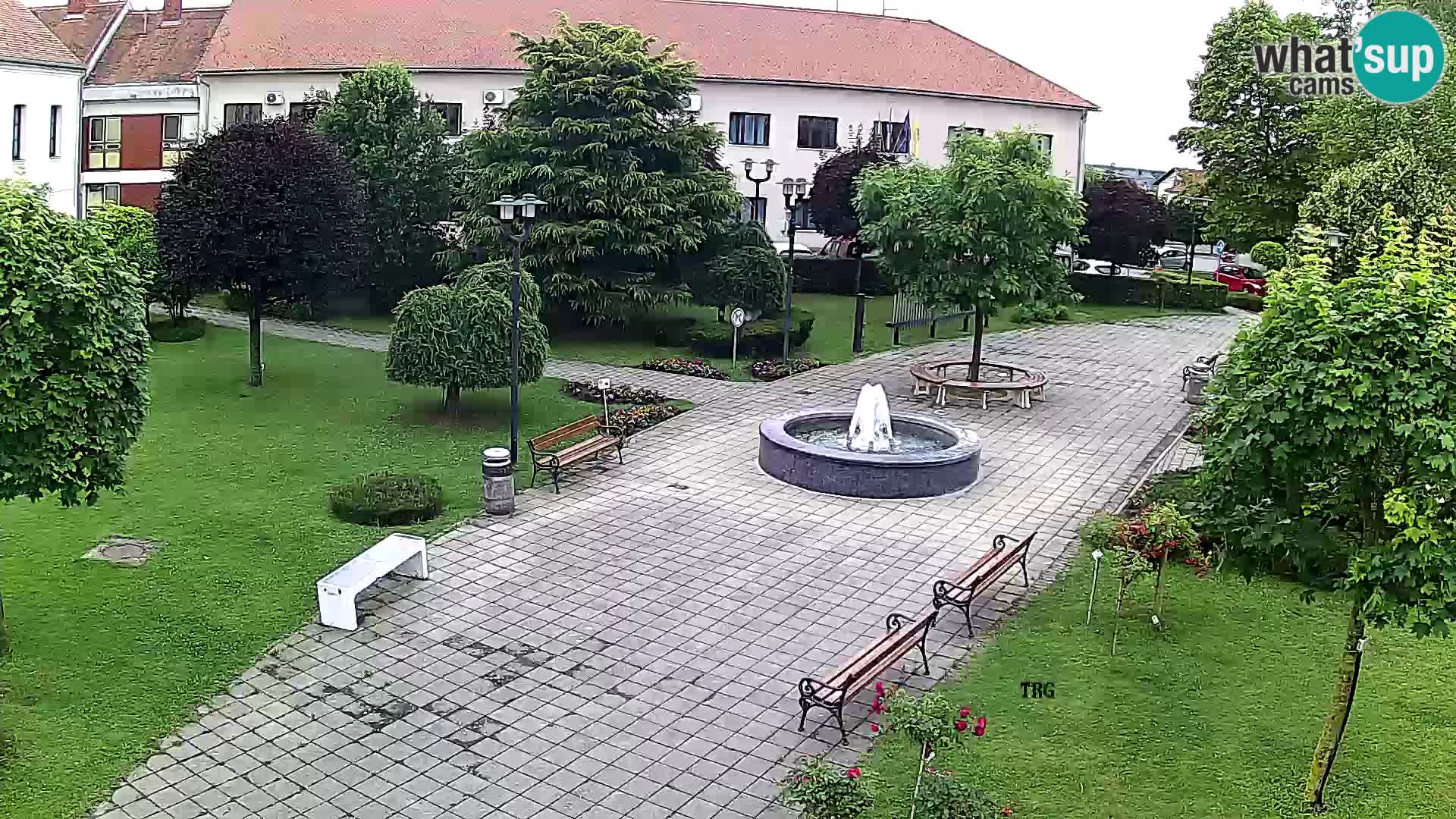Čazma – Čazmanskog Kaptola Platz