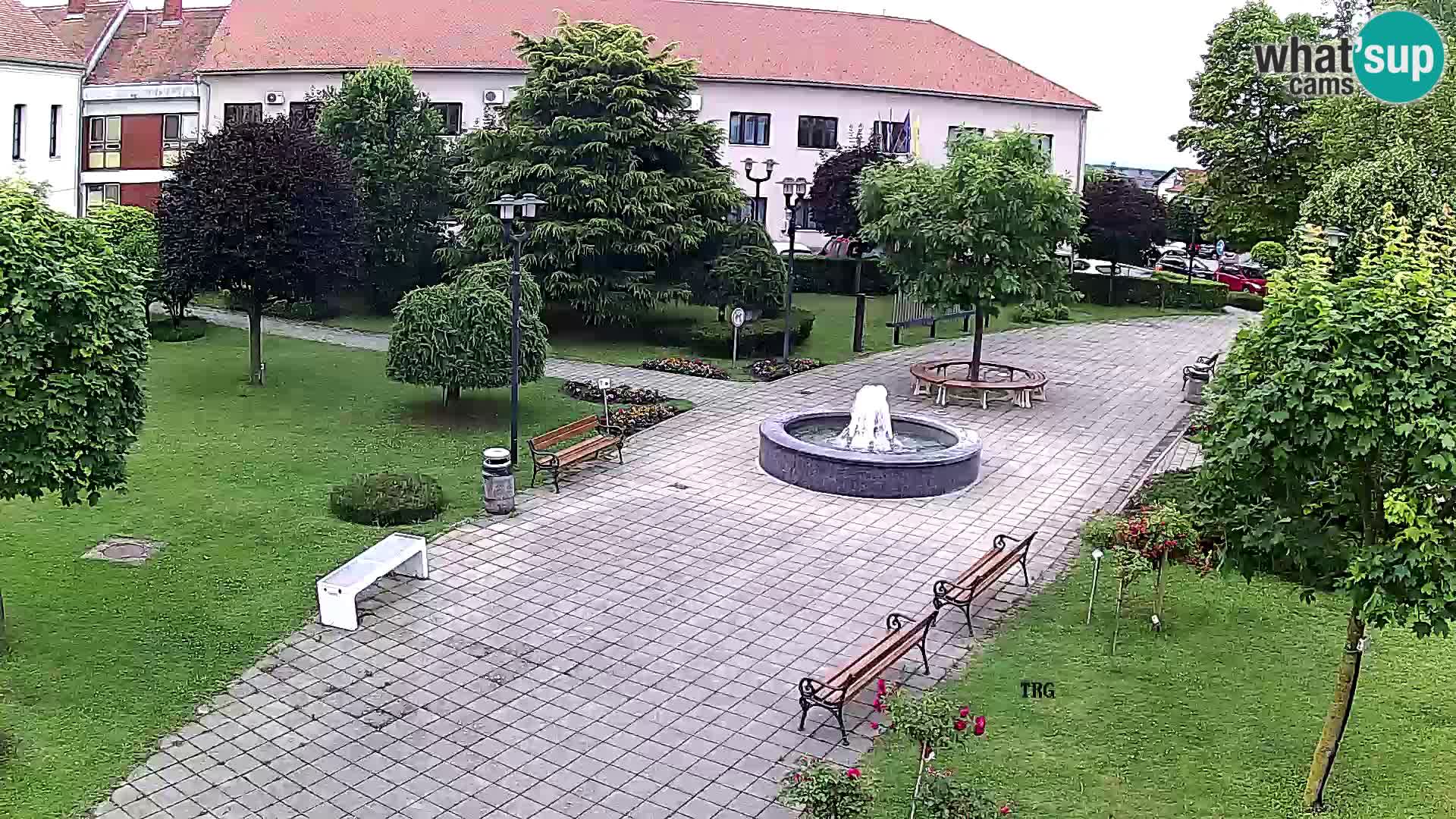 Čazma – Trg Čazmanskog Kaptola