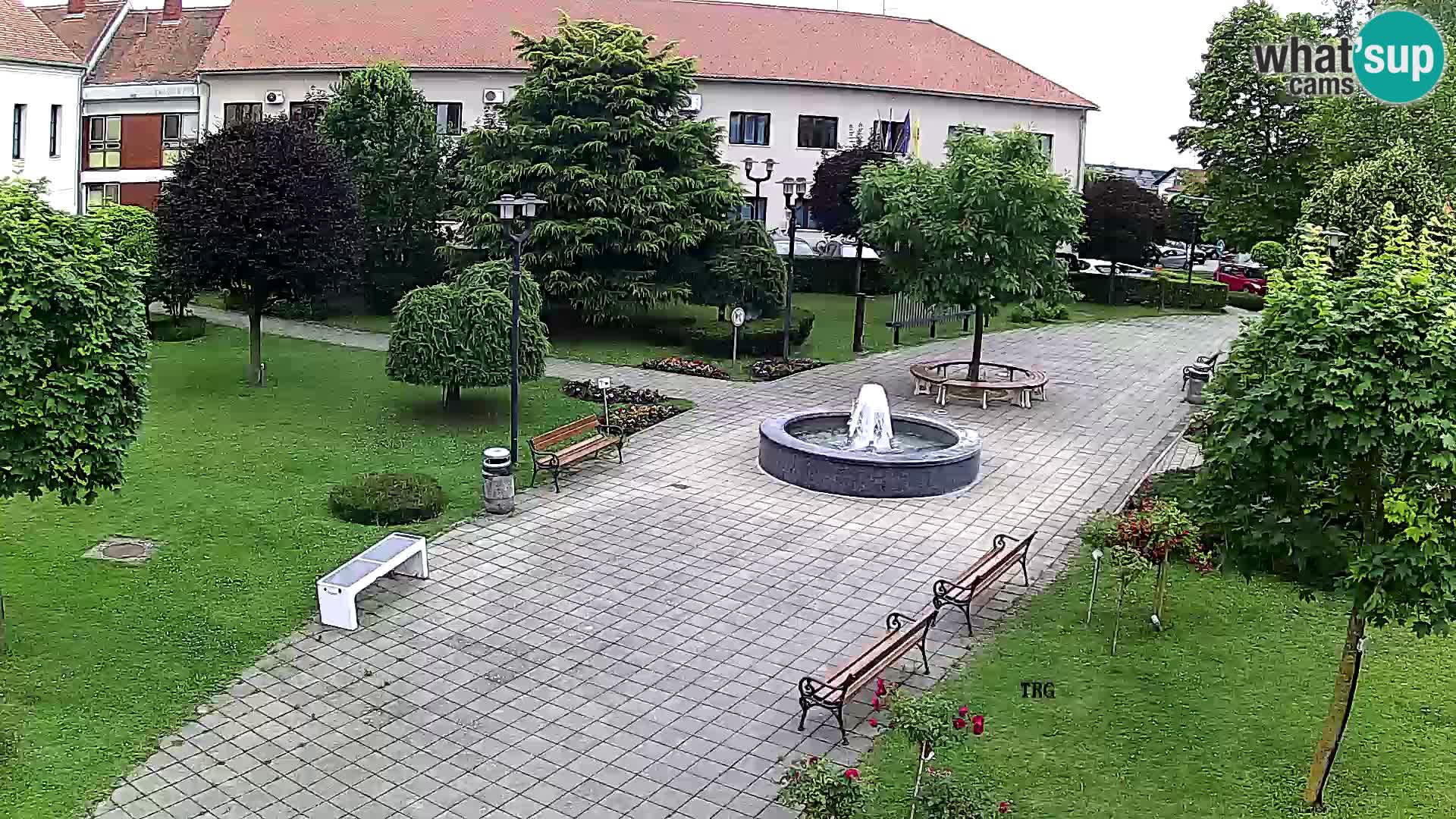 Čazma – Plaza Čazmanskog Kaptola