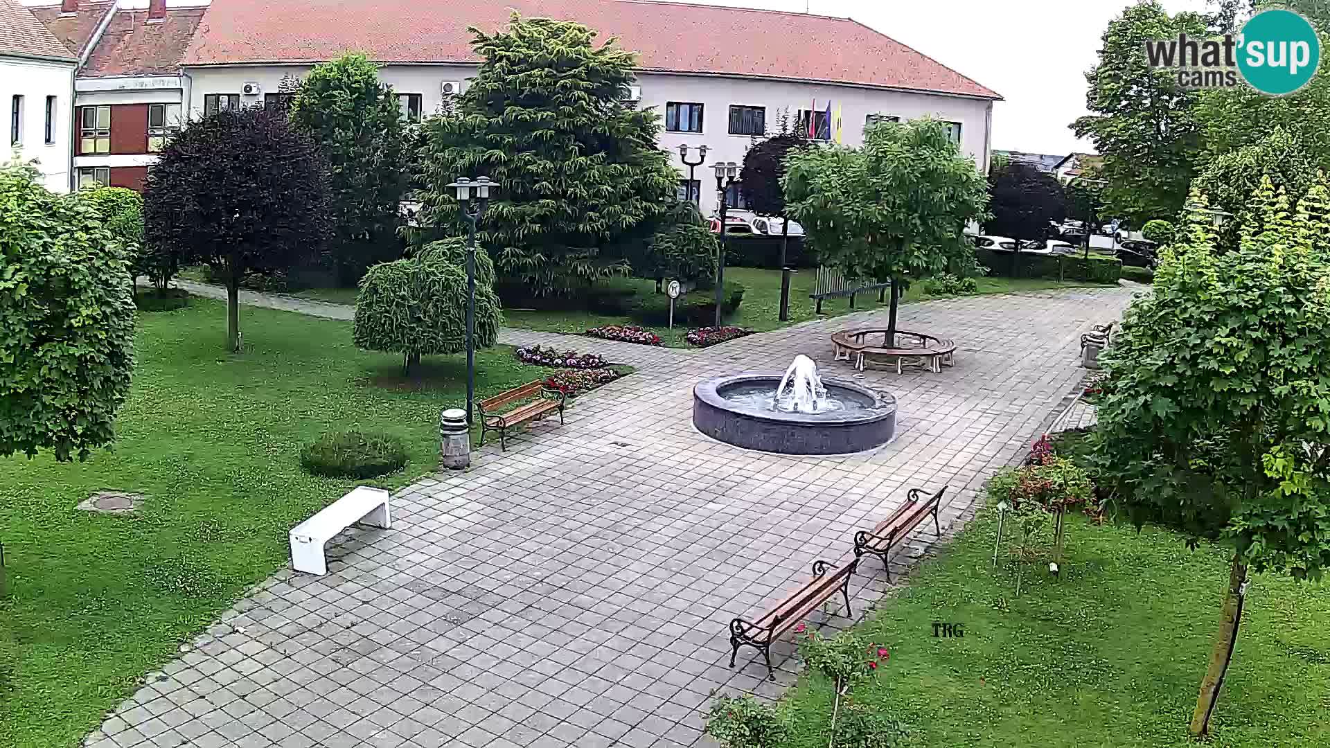 Čazma – Trg Čazmanskog Kaptola