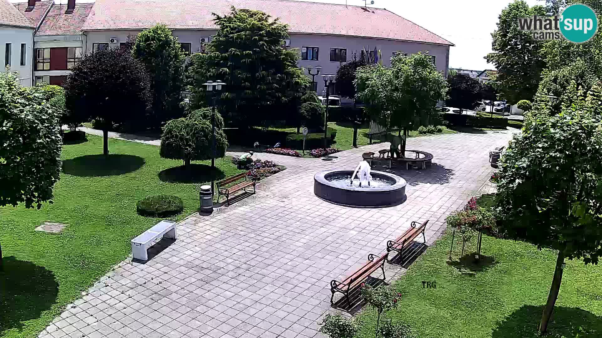 Čazma – Trg Čazmanskog Kaptola