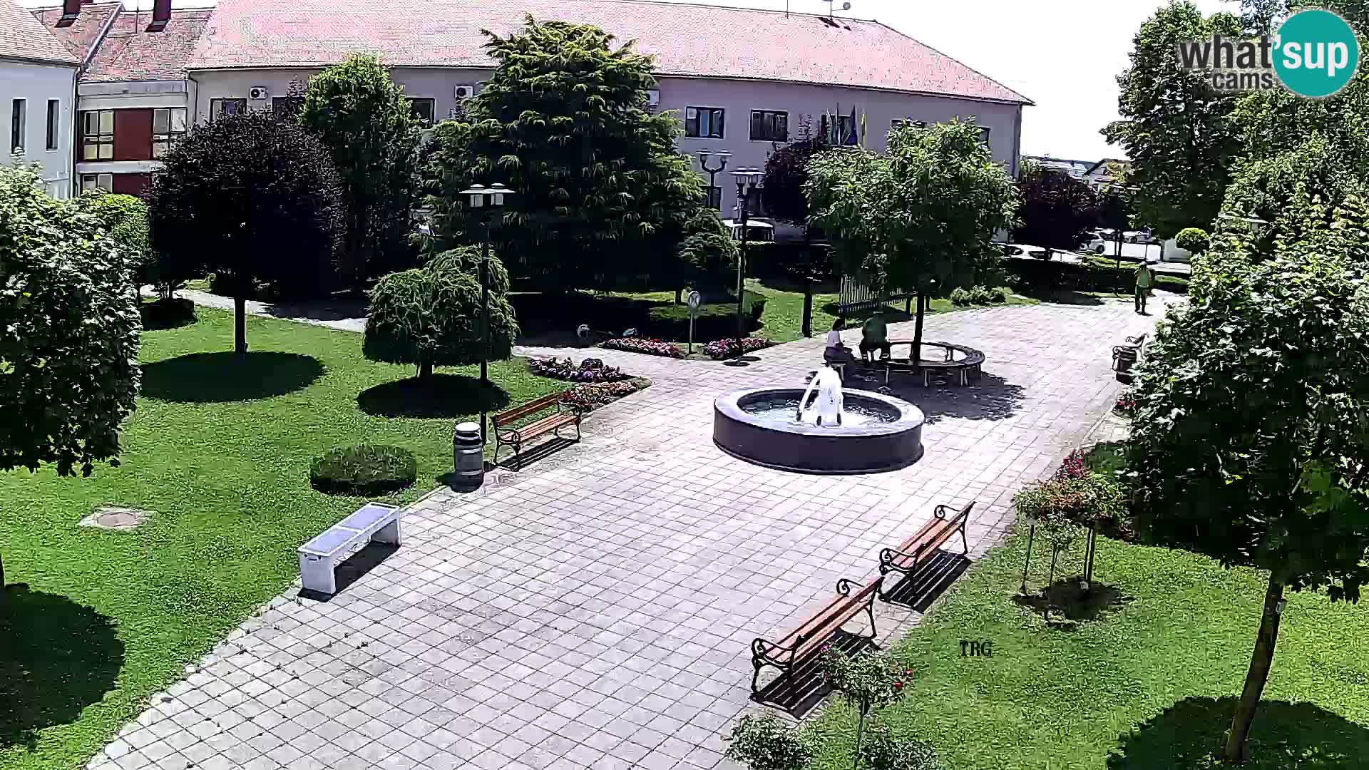 Čazma – Plaza Čazmanskog Kaptola