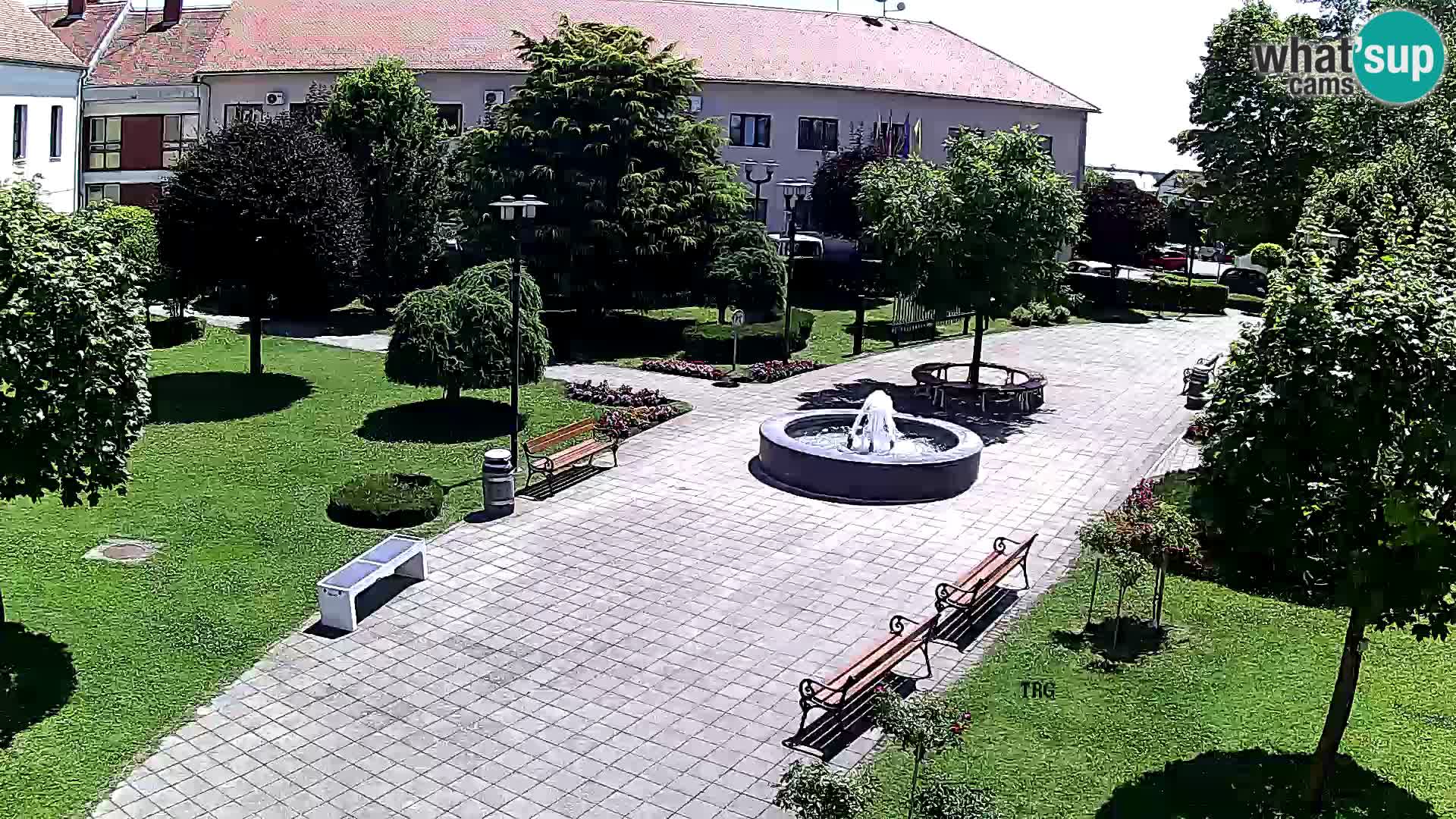 Čazma – Plaza Čazmanskog Kaptola