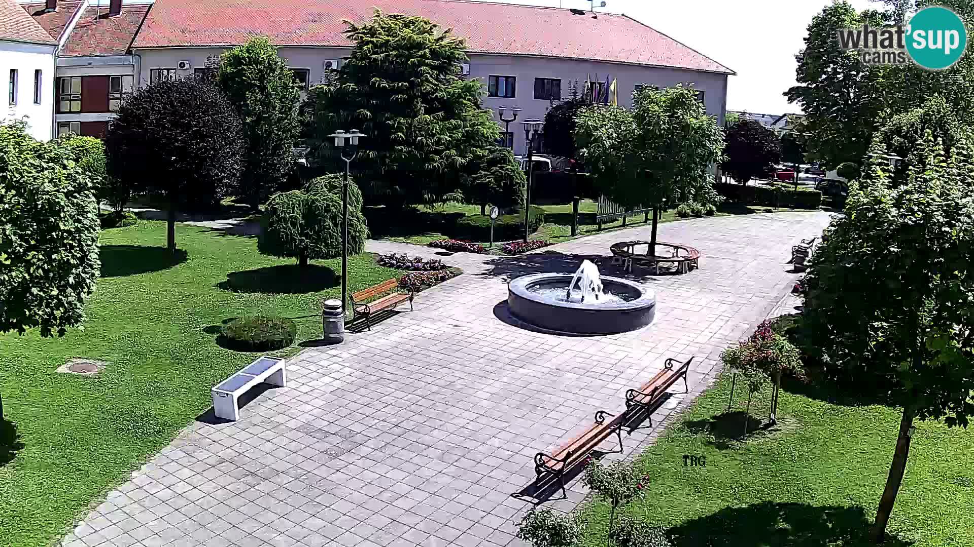 Čazma – Trg Čazmanskog Kaptola
