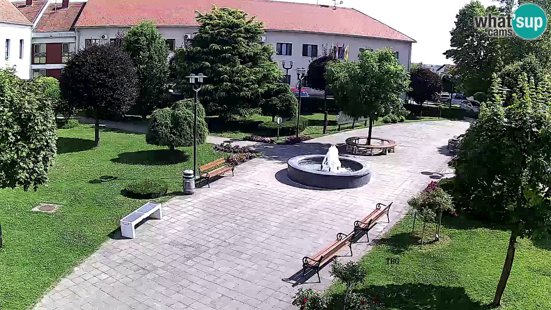 Čazma – Čazmanskog Kaptola square