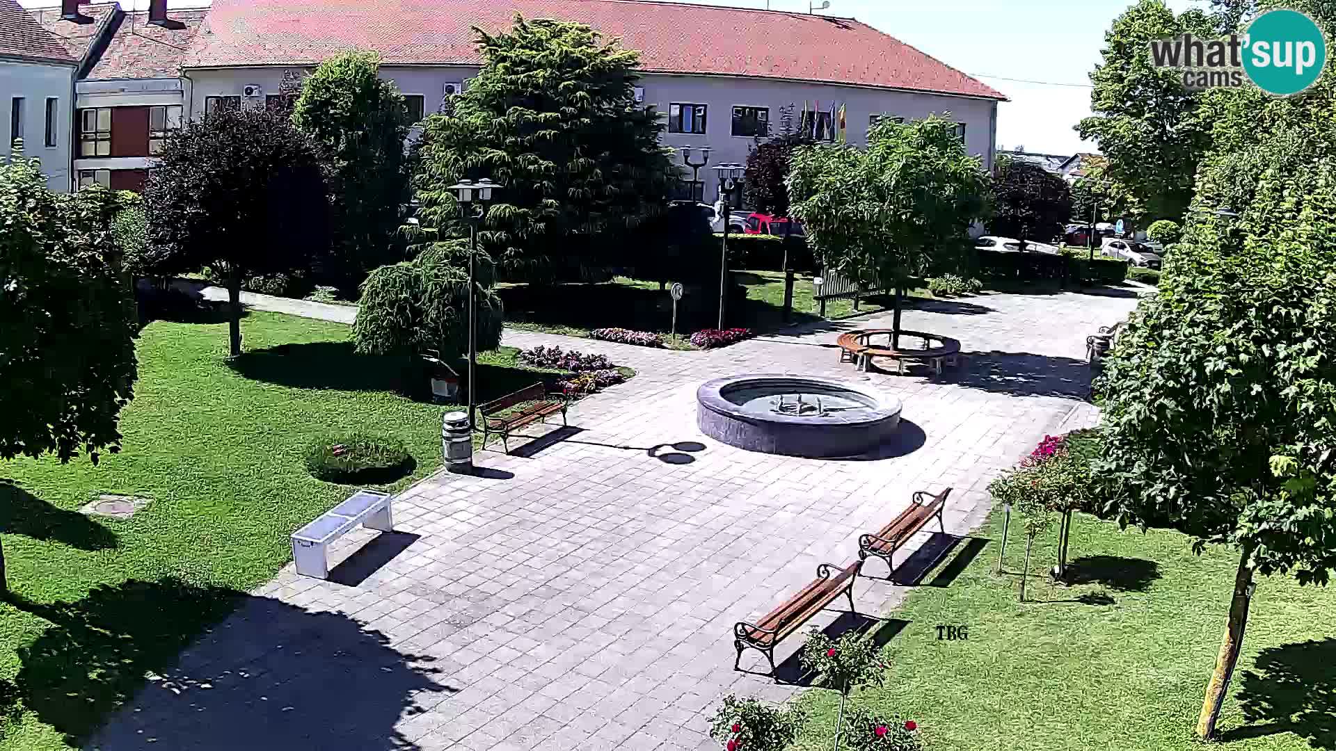 Čazma – Piazza Čazmanskog Kaptola