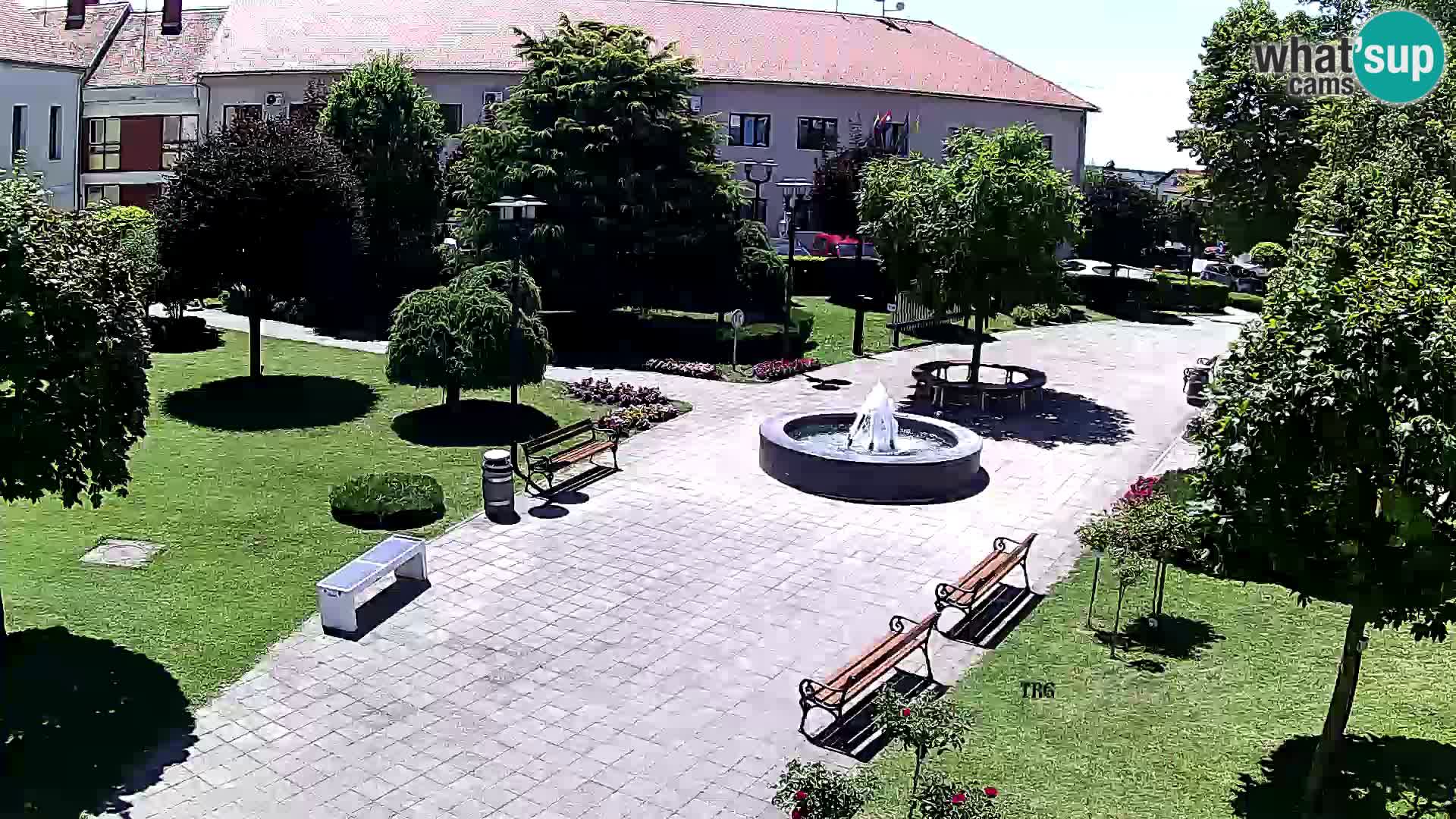 Čazma – Piazza Čazmanskog Kaptola