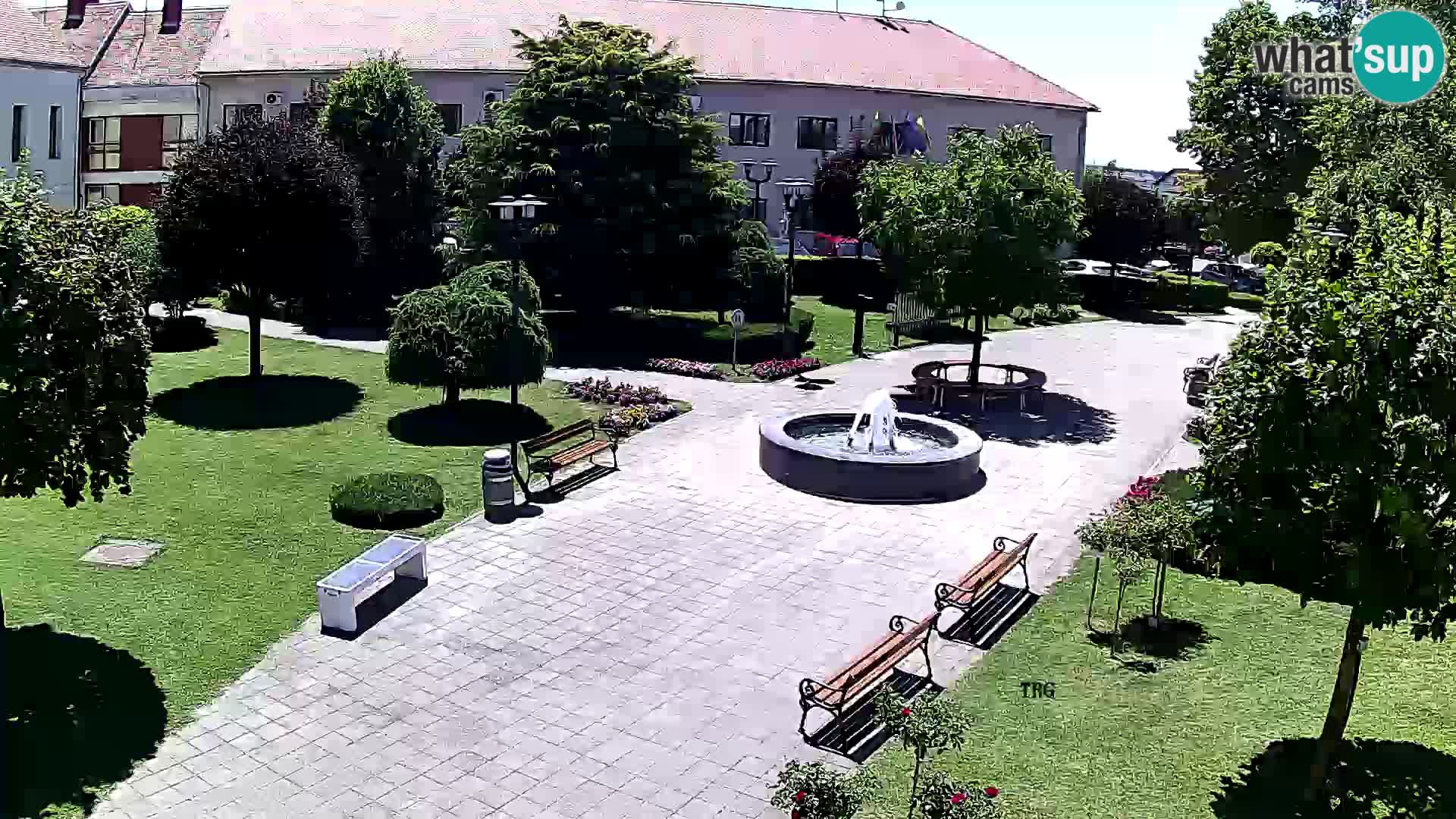 Čazma – Čazmanskog Kaptola square