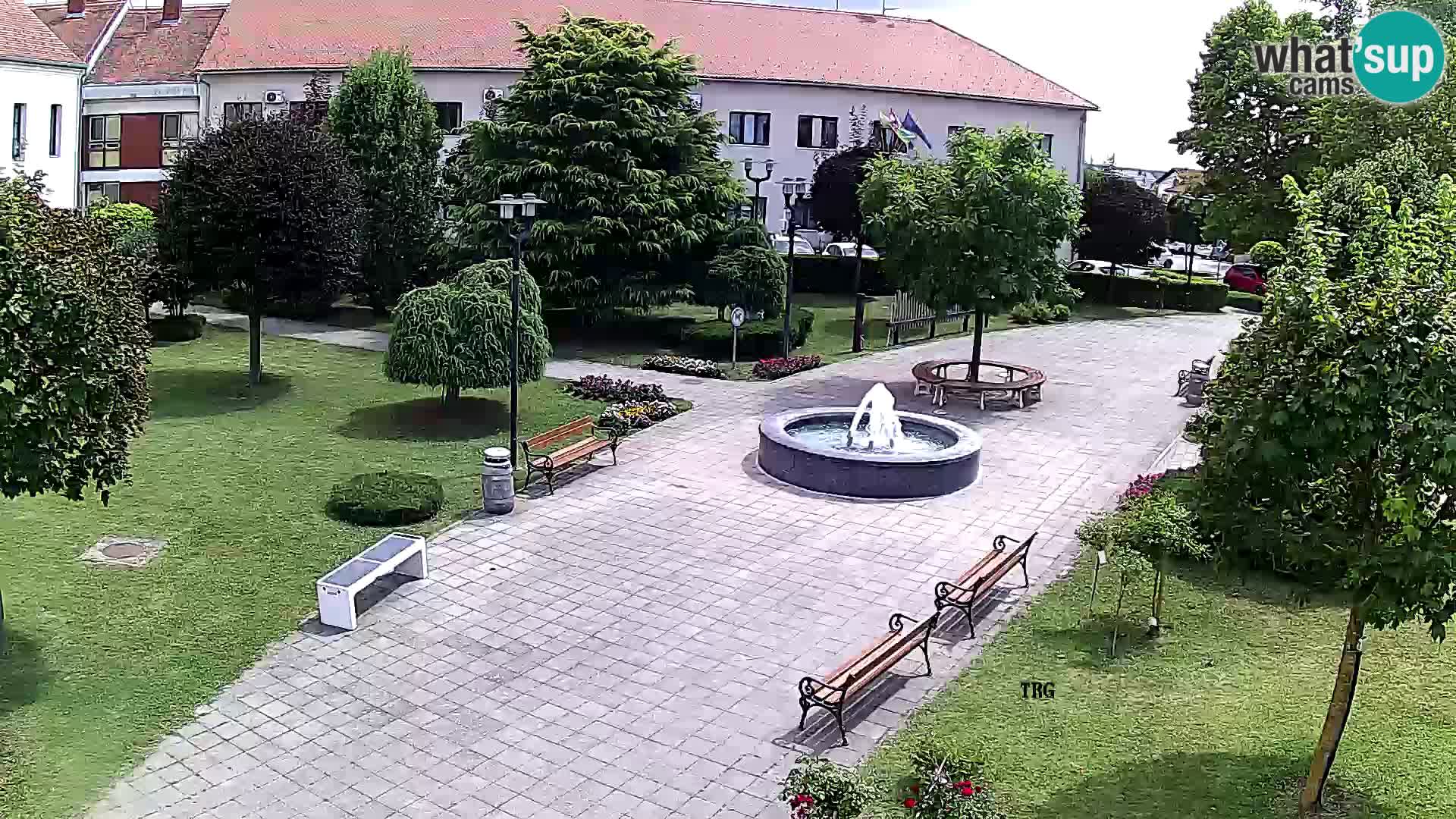 Čazma – Čazmanskog Kaptola square