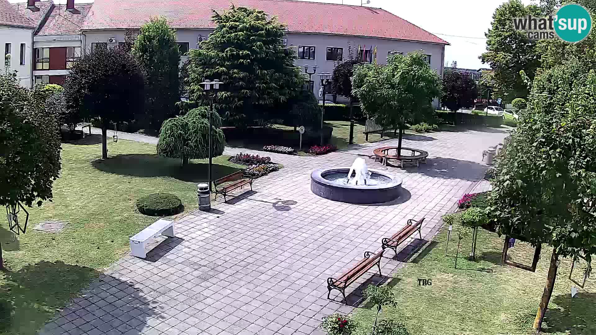Čazma – Čazmanskog Kaptola square