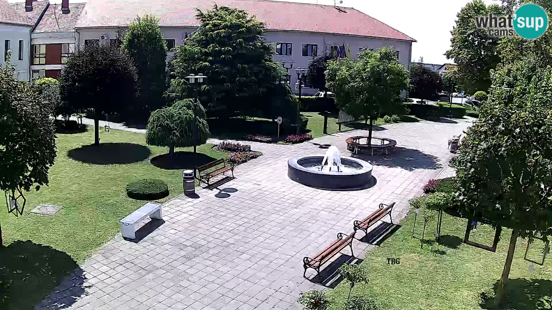 Čazma – Čazmanskog Kaptola Platz