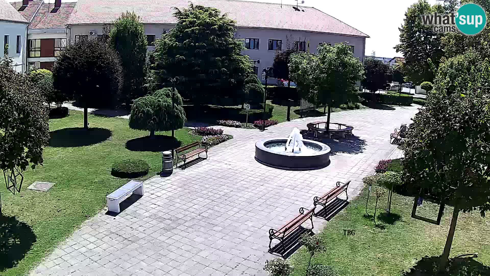 Čazma – Trg Čazmanskog Kaptola
