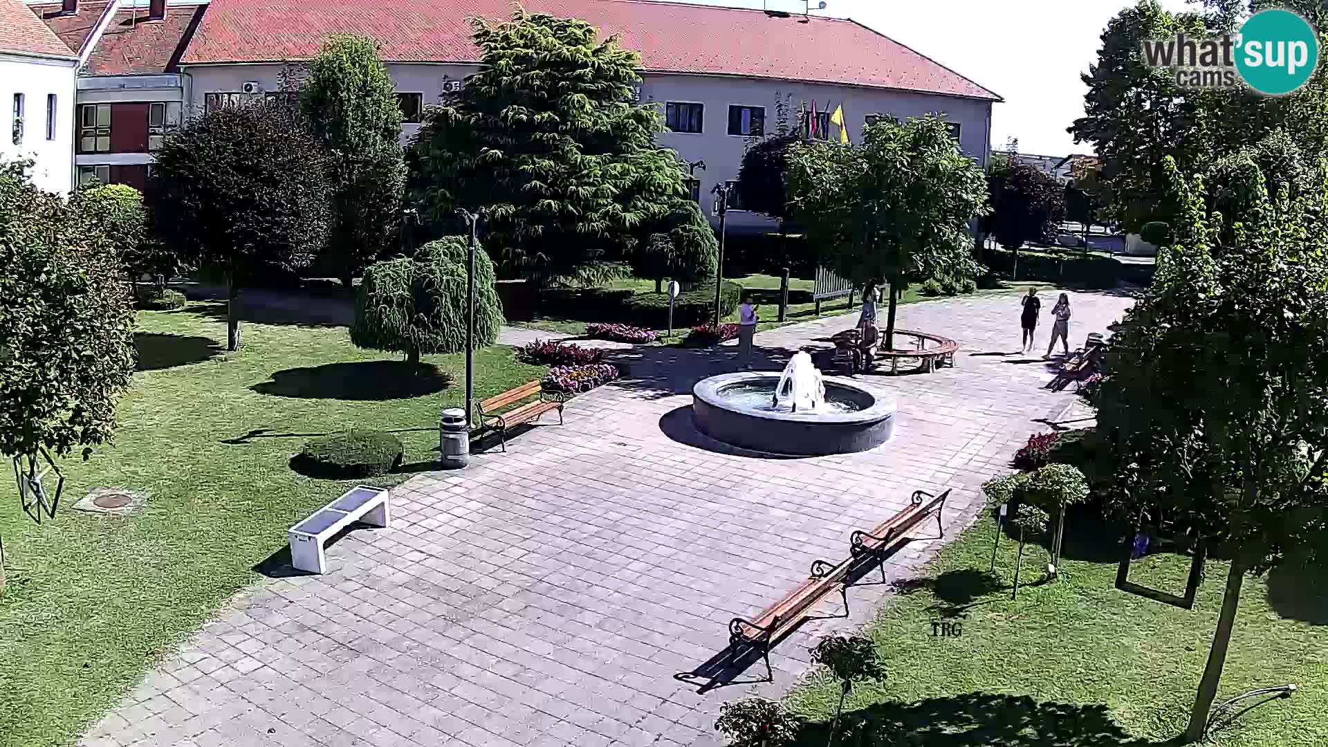 Čazma – Piazza Čazmanskog Kaptola