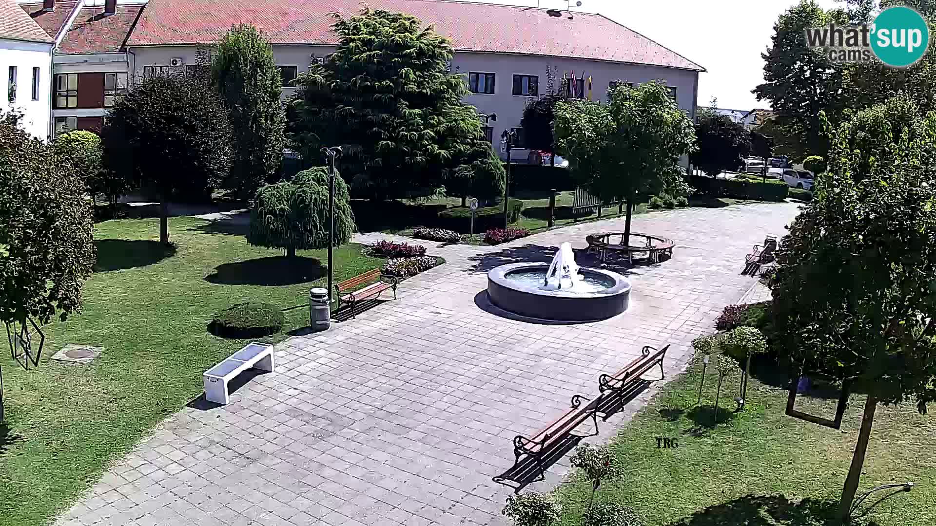 Čazma – Piazza Čazmanskog Kaptola