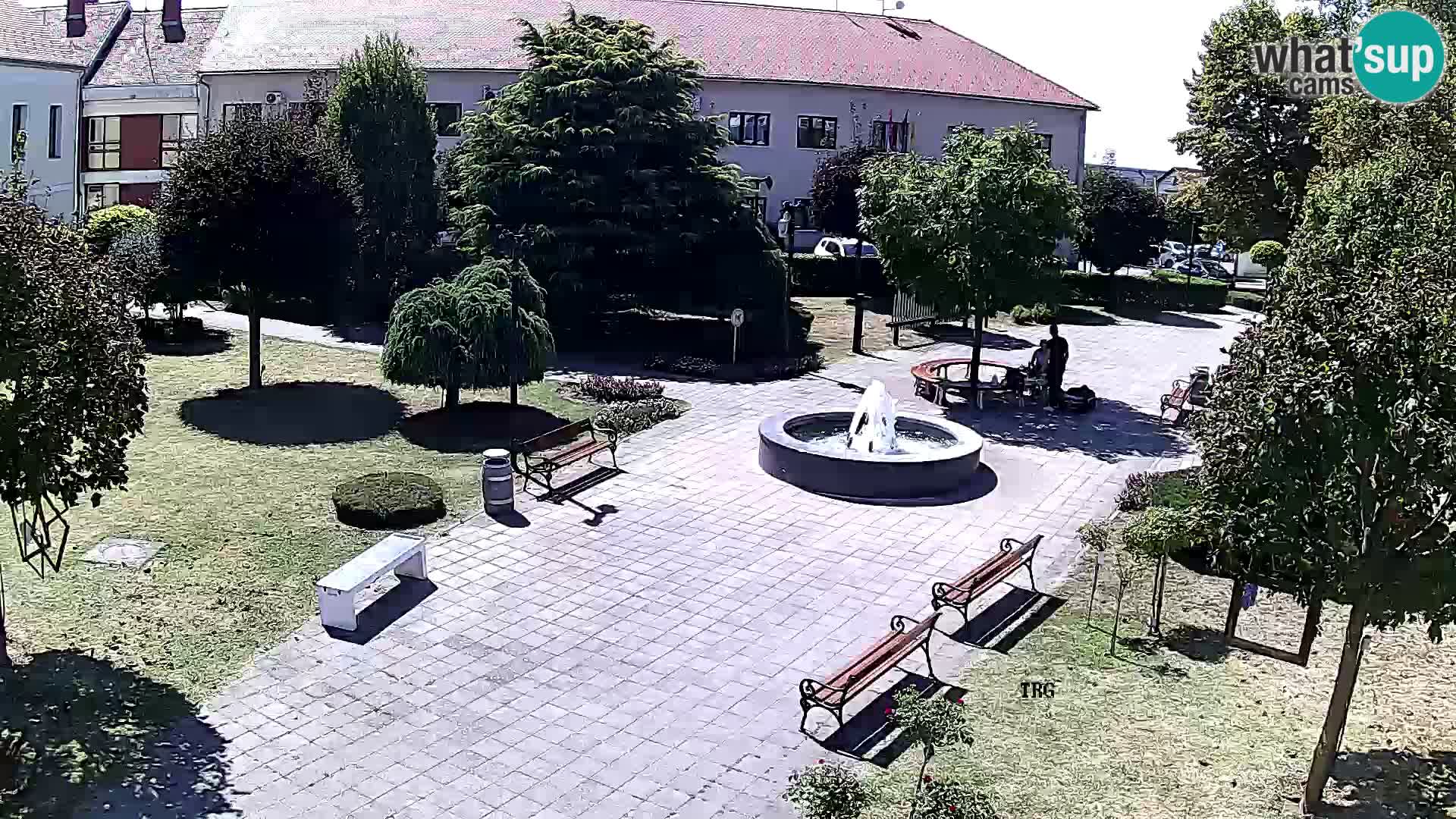 Čazma – Čazmanskog Kaptola square