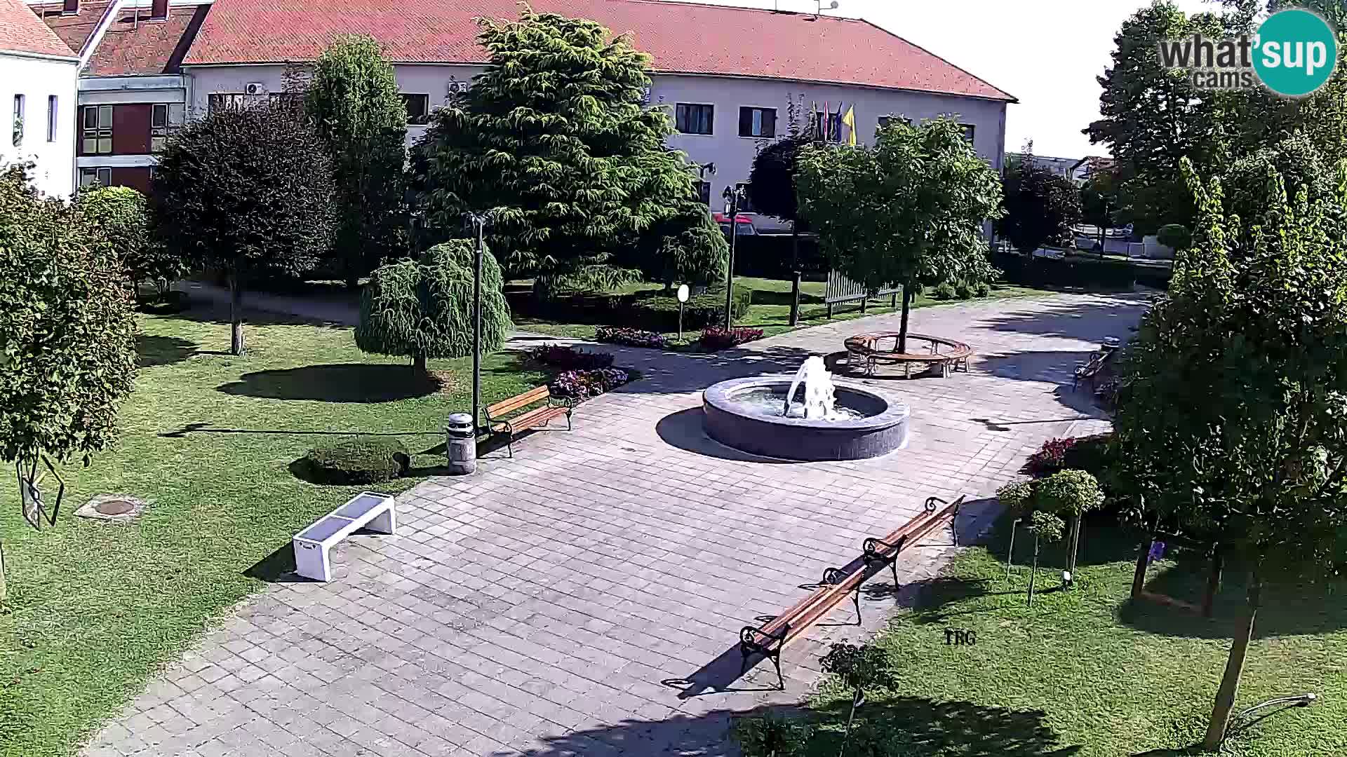 Čazma – Čazmanskog Kaptola carre