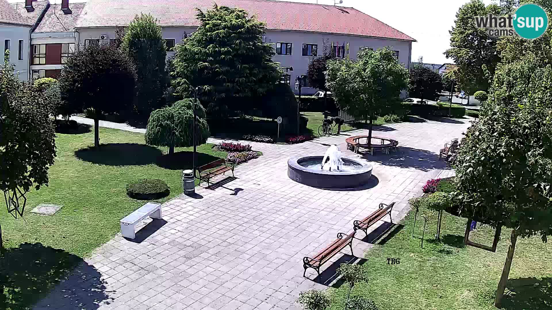 Čazma – Plaza Čazmanskog Kaptola