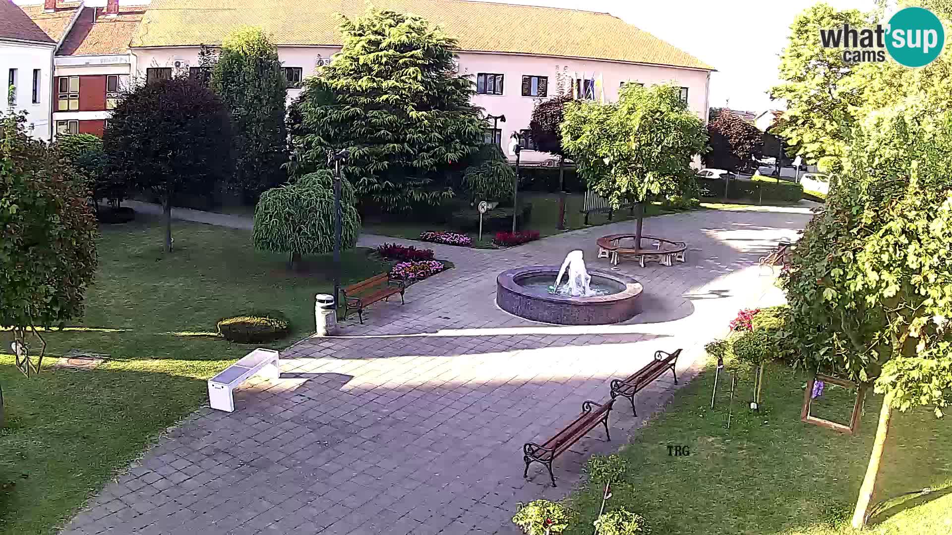Čazma – Plaza Čazmanskog Kaptola