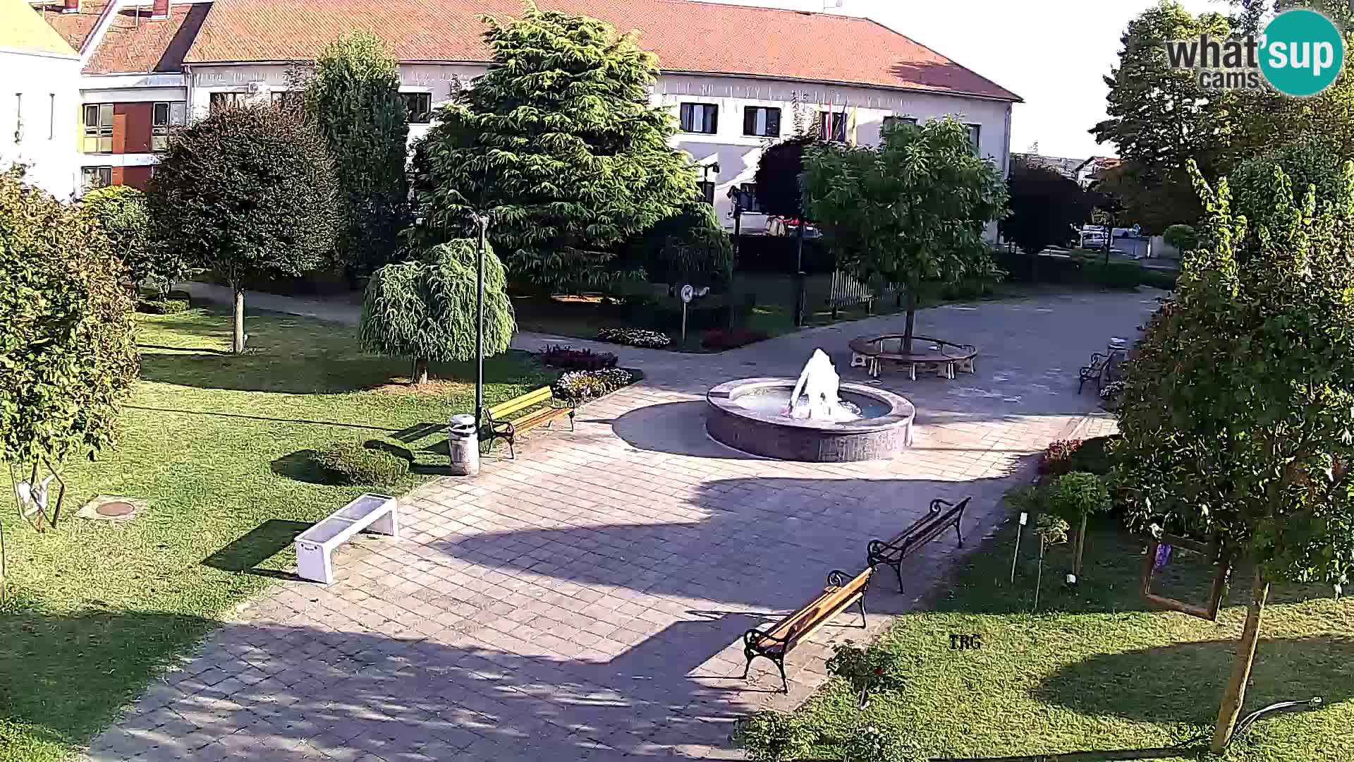 Čazma – Piazza Čazmanskog Kaptola