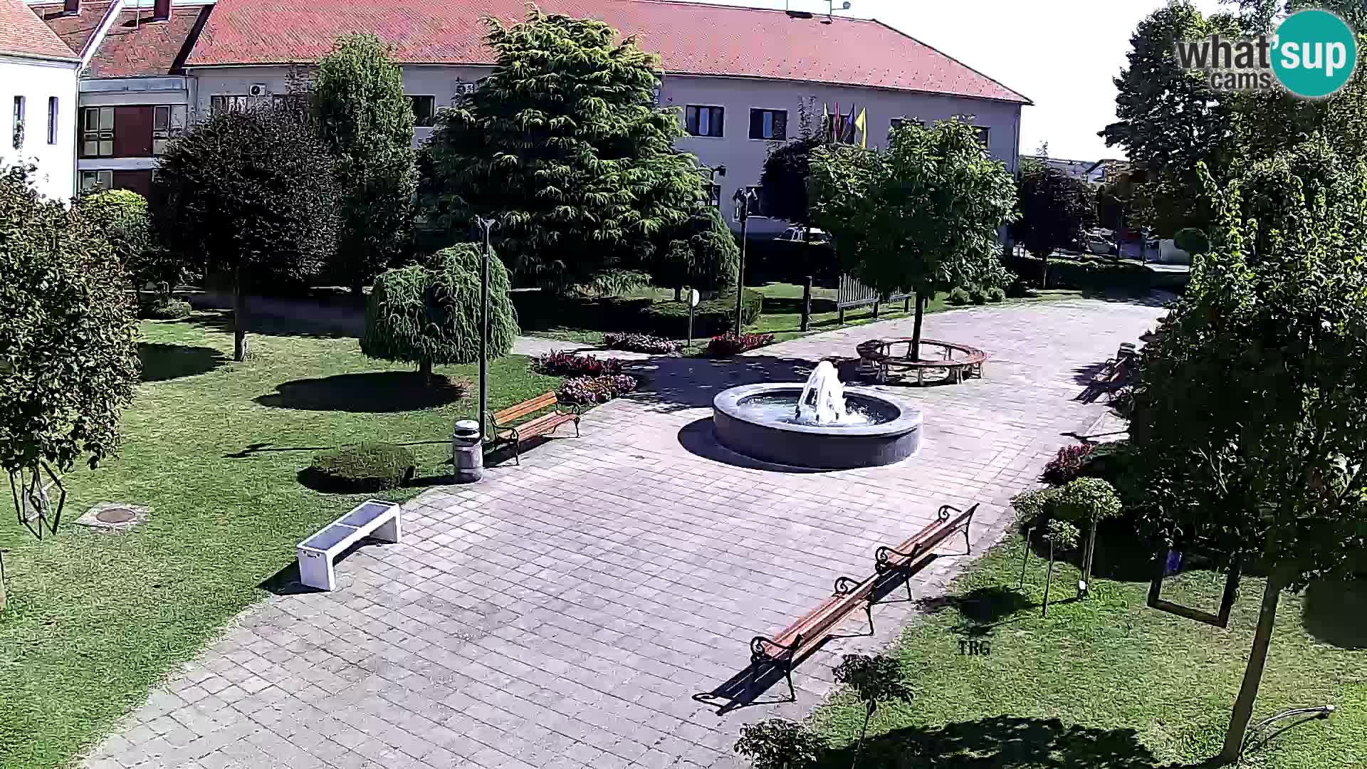 Čazma – Čazmanskog Kaptola square