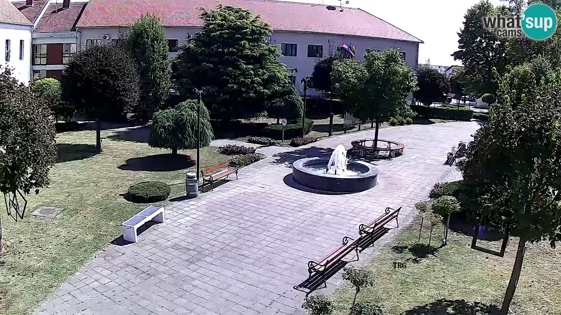 Čazma – Čazmanskog Kaptola Platz