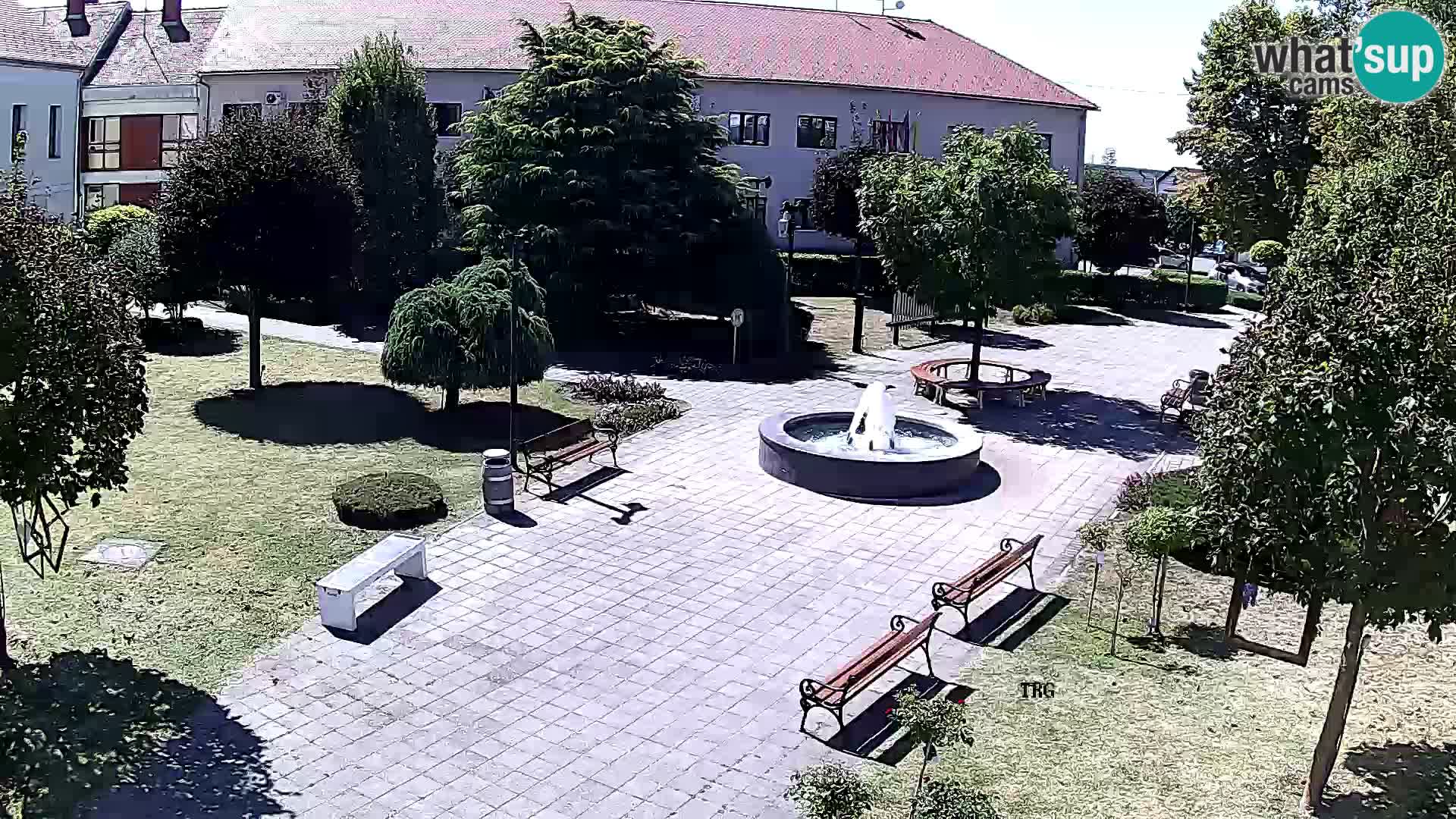 Čazma – Čazmanskog Kaptola carre