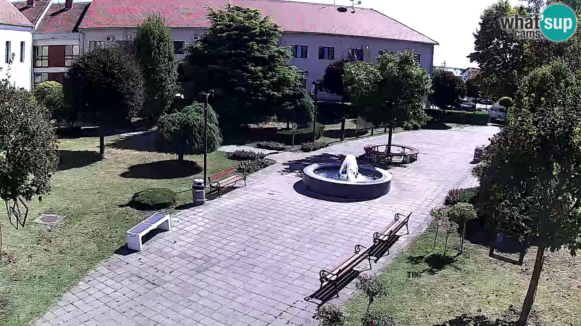 Čazma – Trg Čazmanskog Kaptola