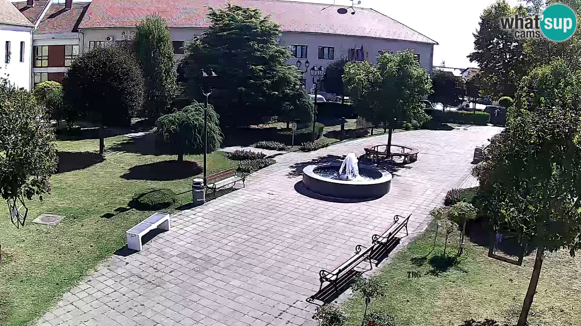 Čazma – Piazza Čazmanskog Kaptola