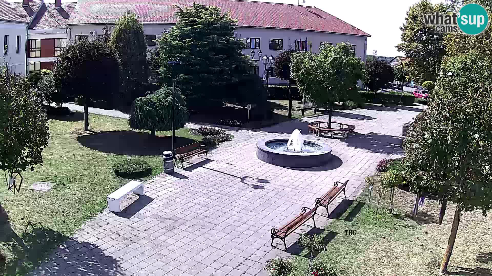 Čazma – Plaza Čazmanskog Kaptola