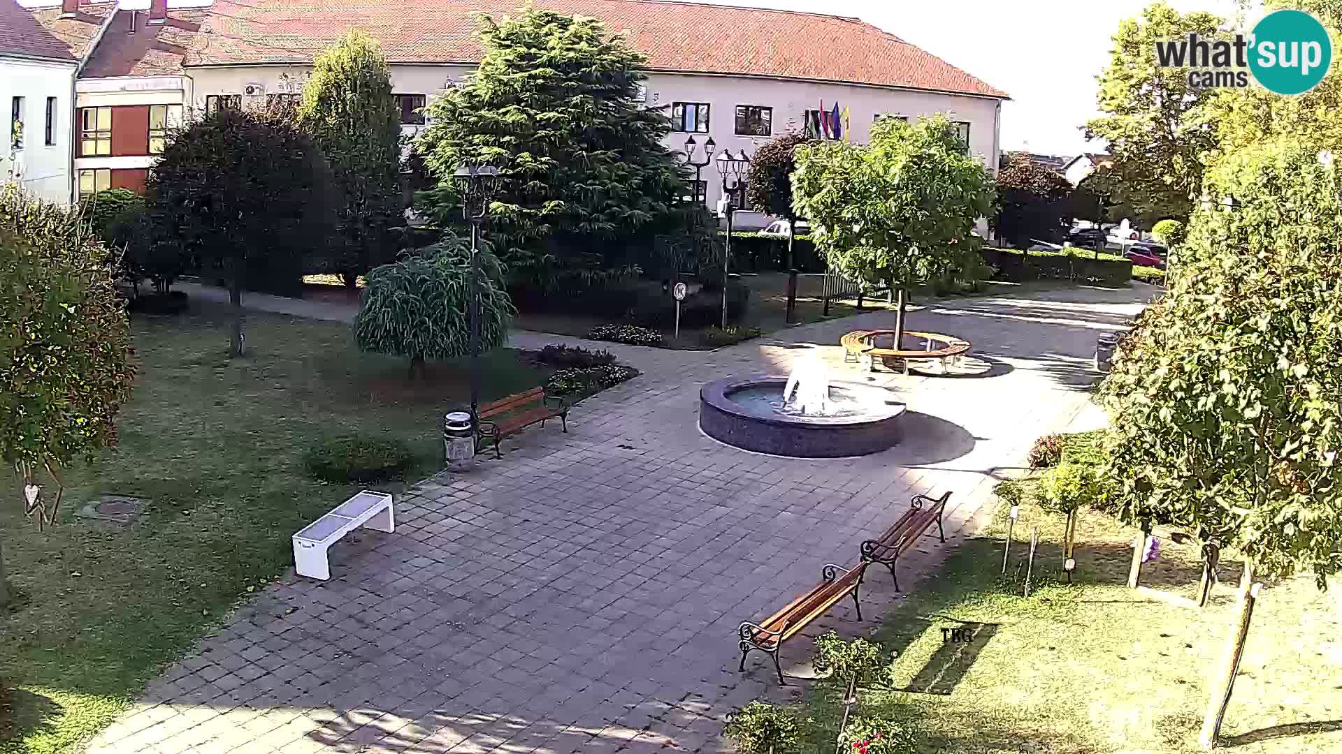 Čazma – Plaza Čazmanskog Kaptola