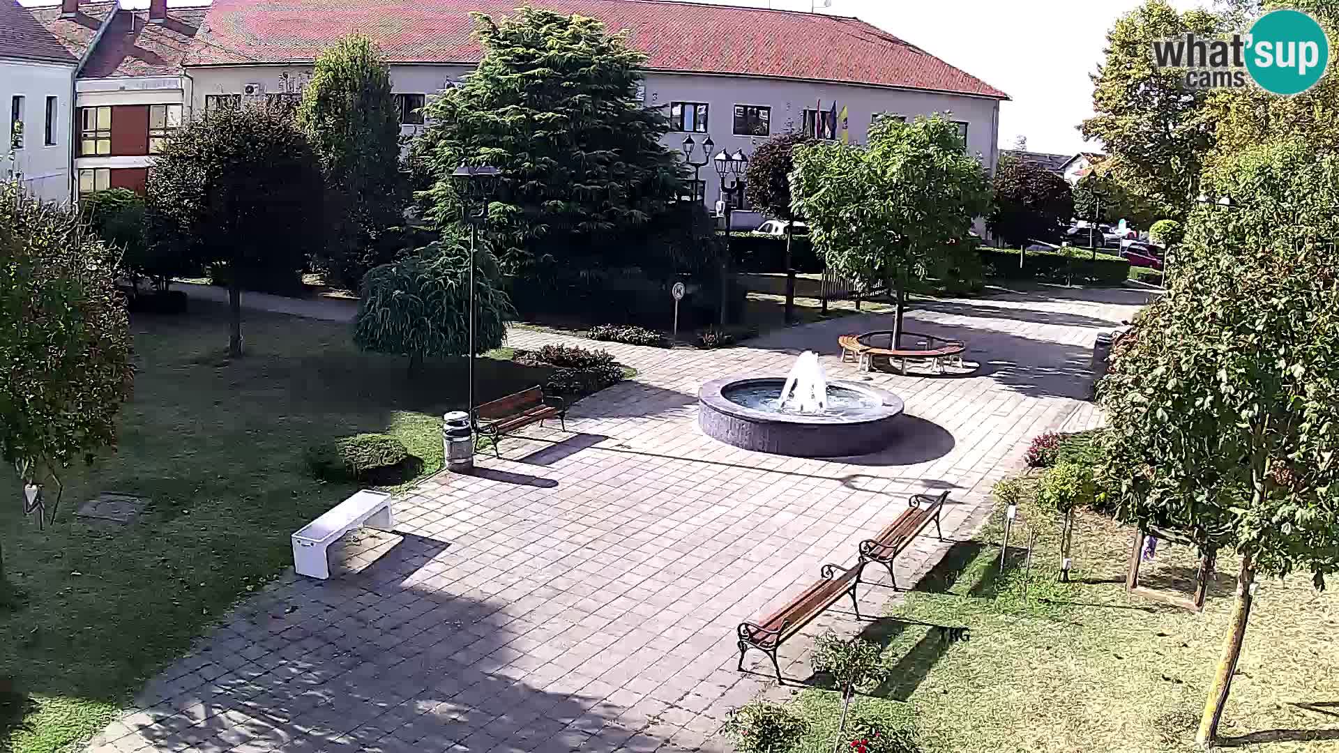 Čazma – Plaza Čazmanskog Kaptola