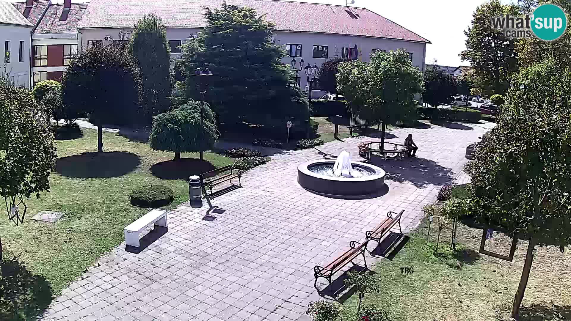 Čazma – Trg Čazmanskog Kaptola