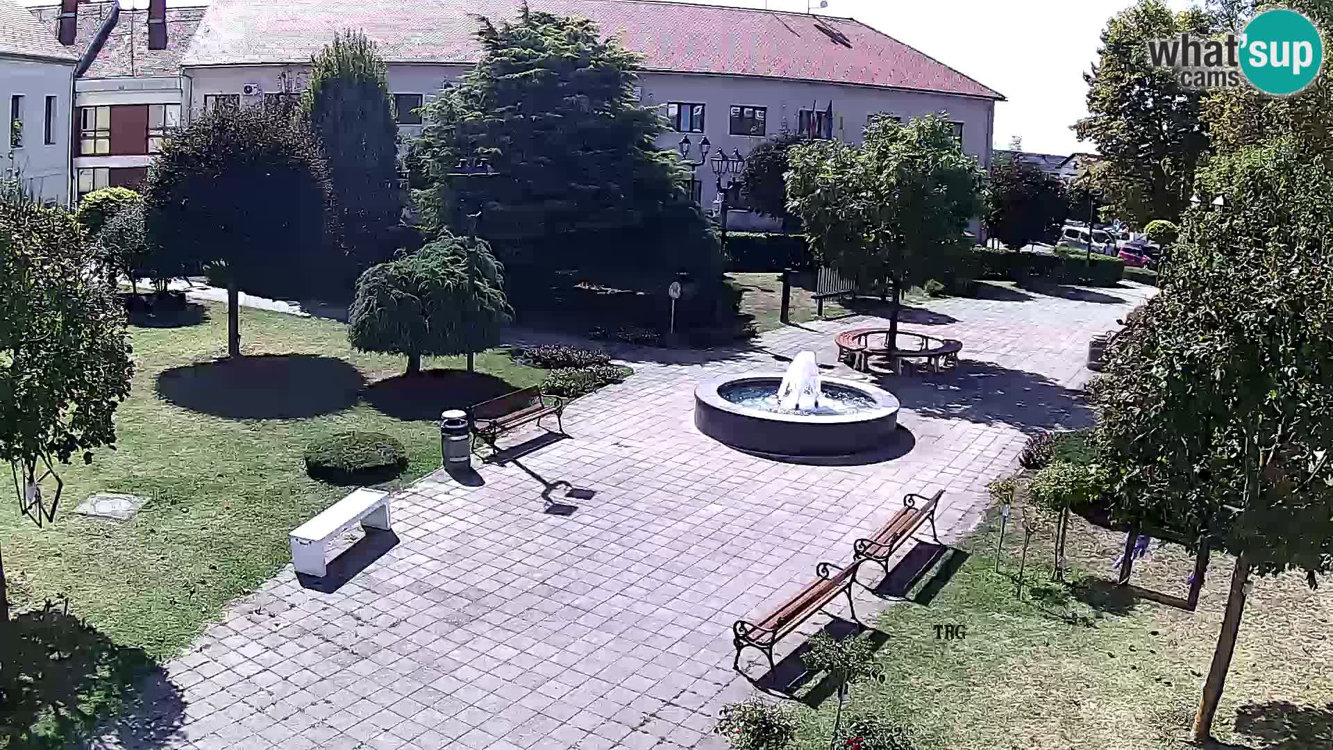 Čazma – Plaza Čazmanskog Kaptola