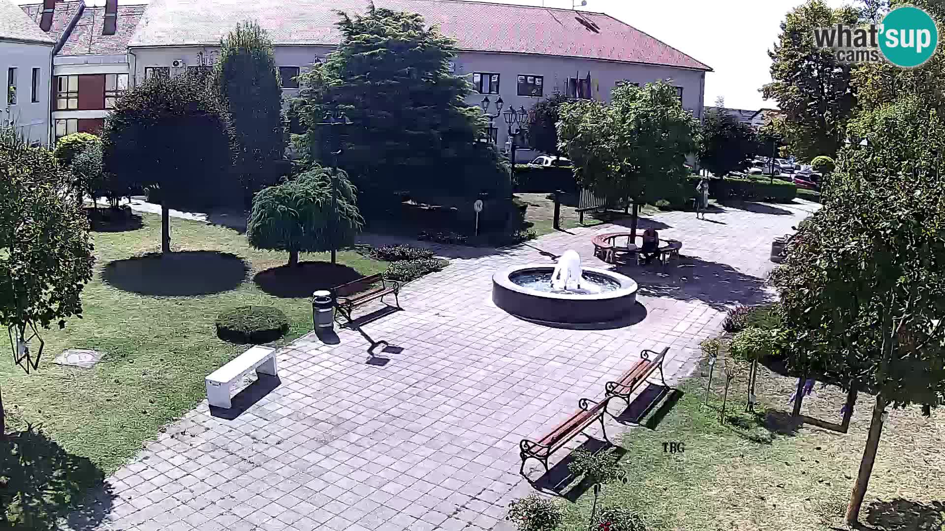 Čazma – Plaza Čazmanskog Kaptola