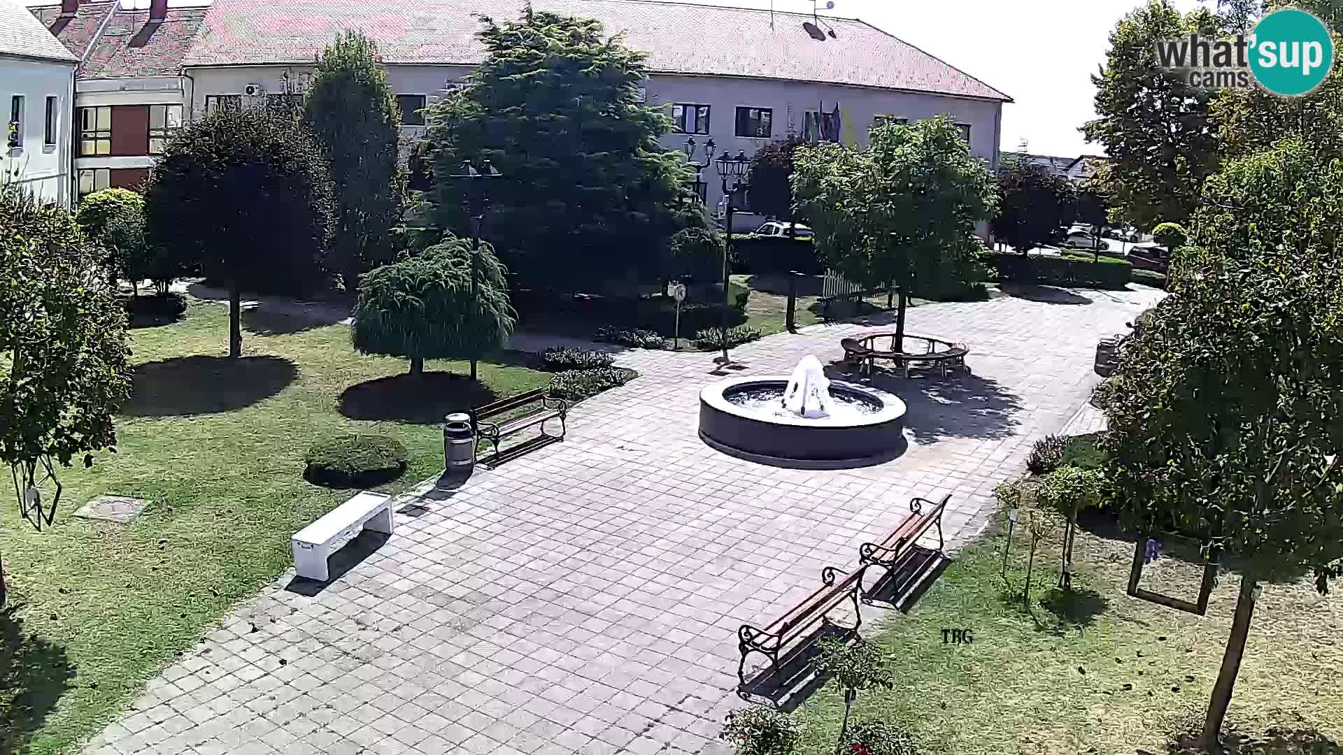 Čazma – Plaza Čazmanskog Kaptola