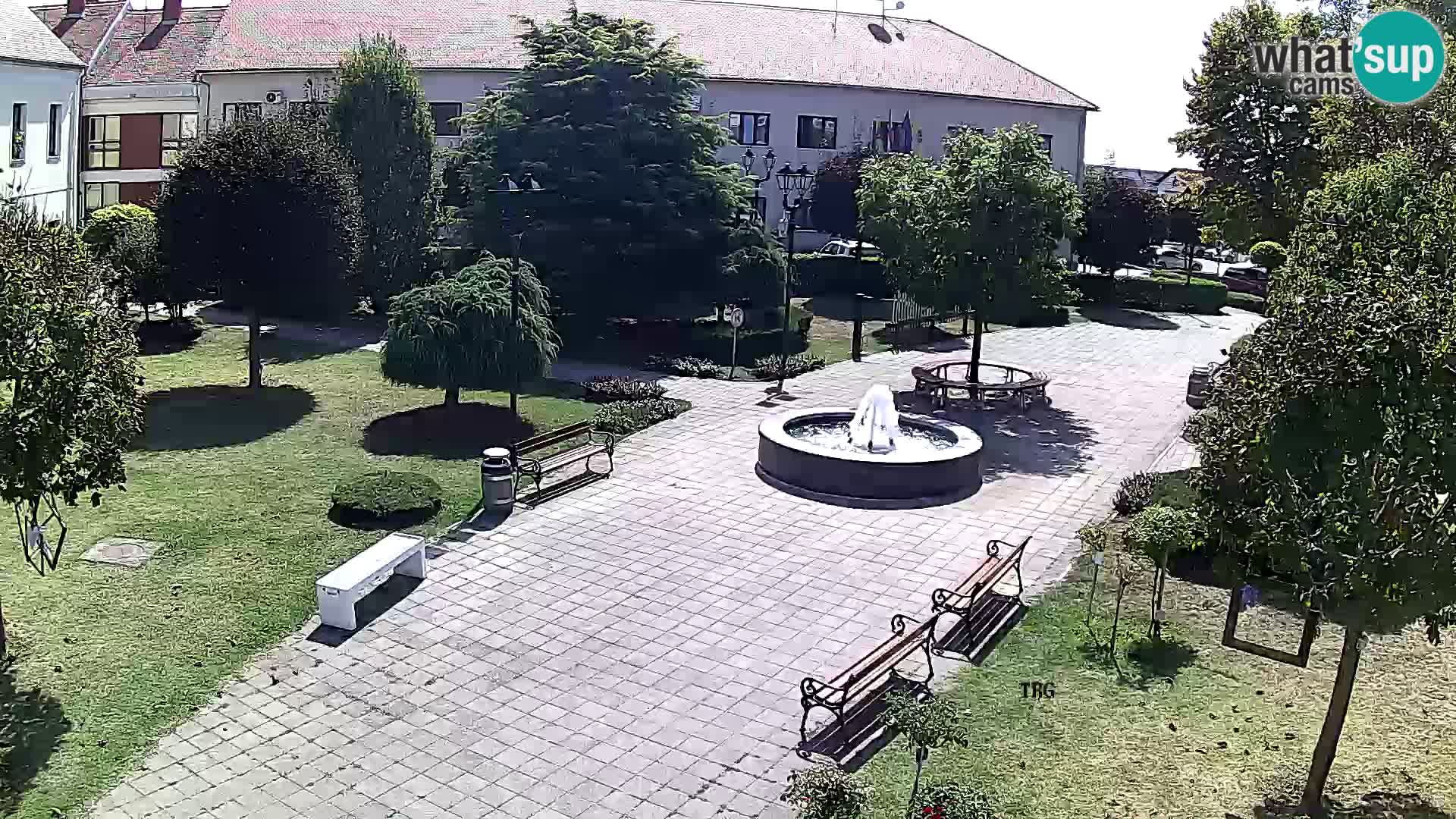 Čazma – Trg Čazmanskog Kaptola