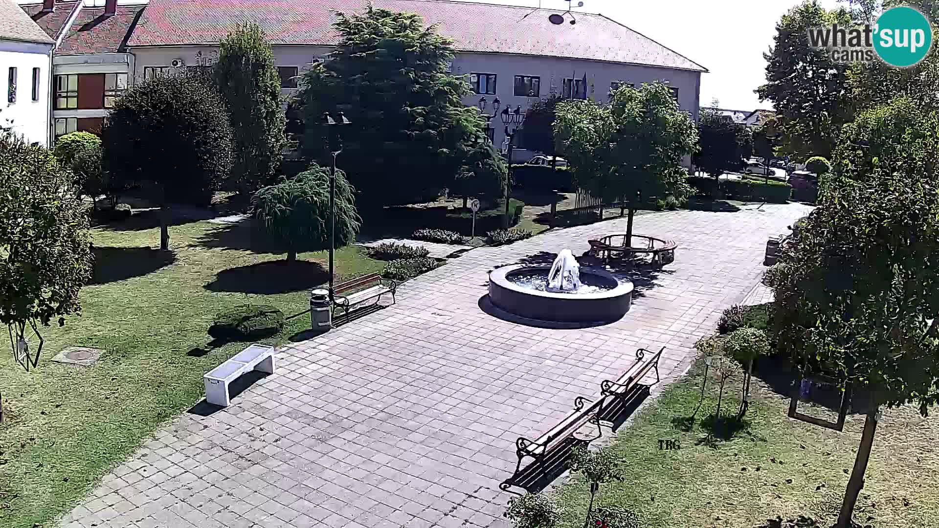 Čazma – Trg Čazmanskog Kaptola