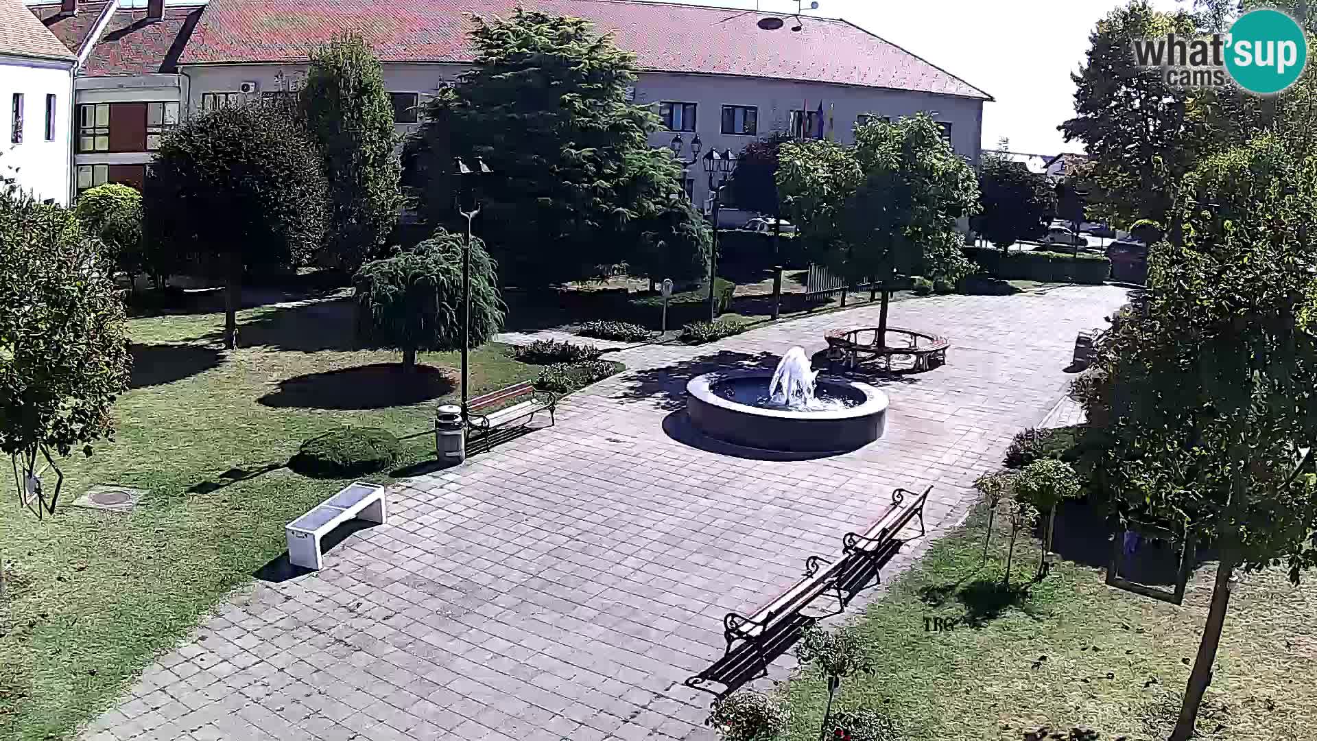 Čazma – Trg Čazmanskog Kaptola
