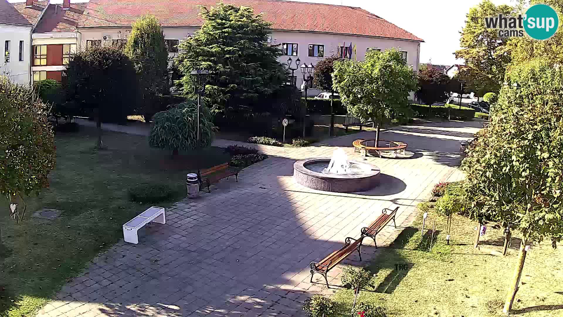 Čazma – Trg Čazmanskog Kaptola